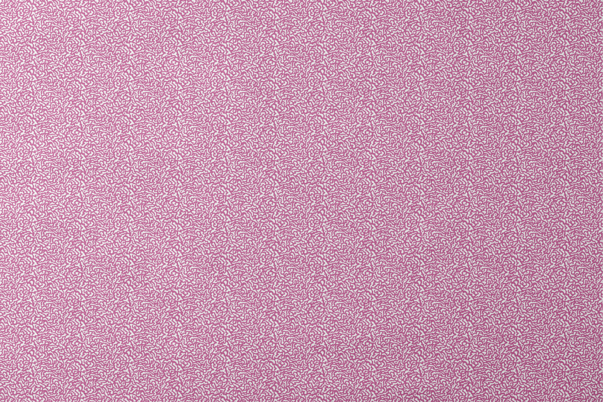 Intricate magenta squiggly pattern on white background resembling organic coral-like shapes designs flat mockup
