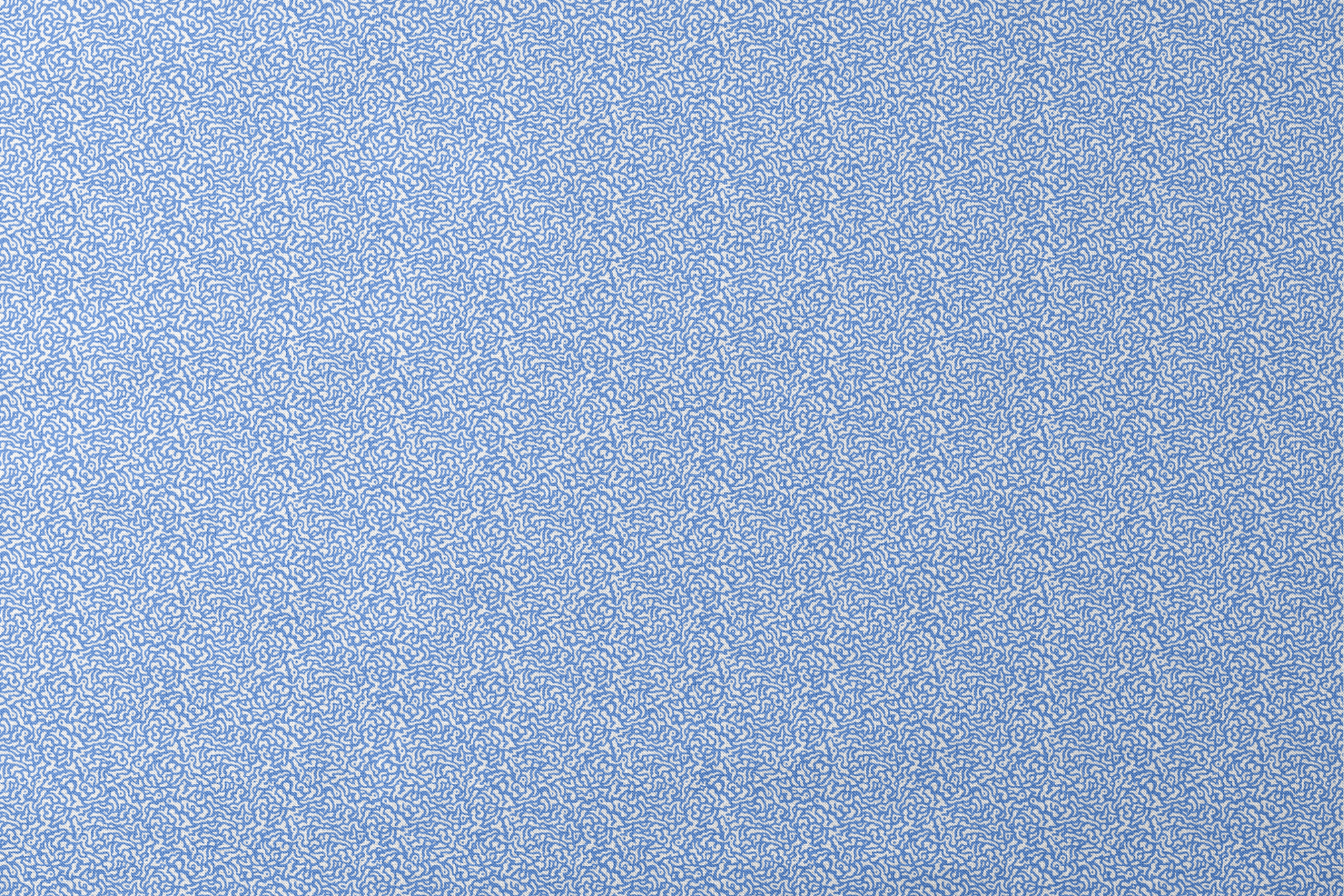 Blue and white abstract pattern with wavy, maze-like lines creating a flowing organic texture designs flat mockup