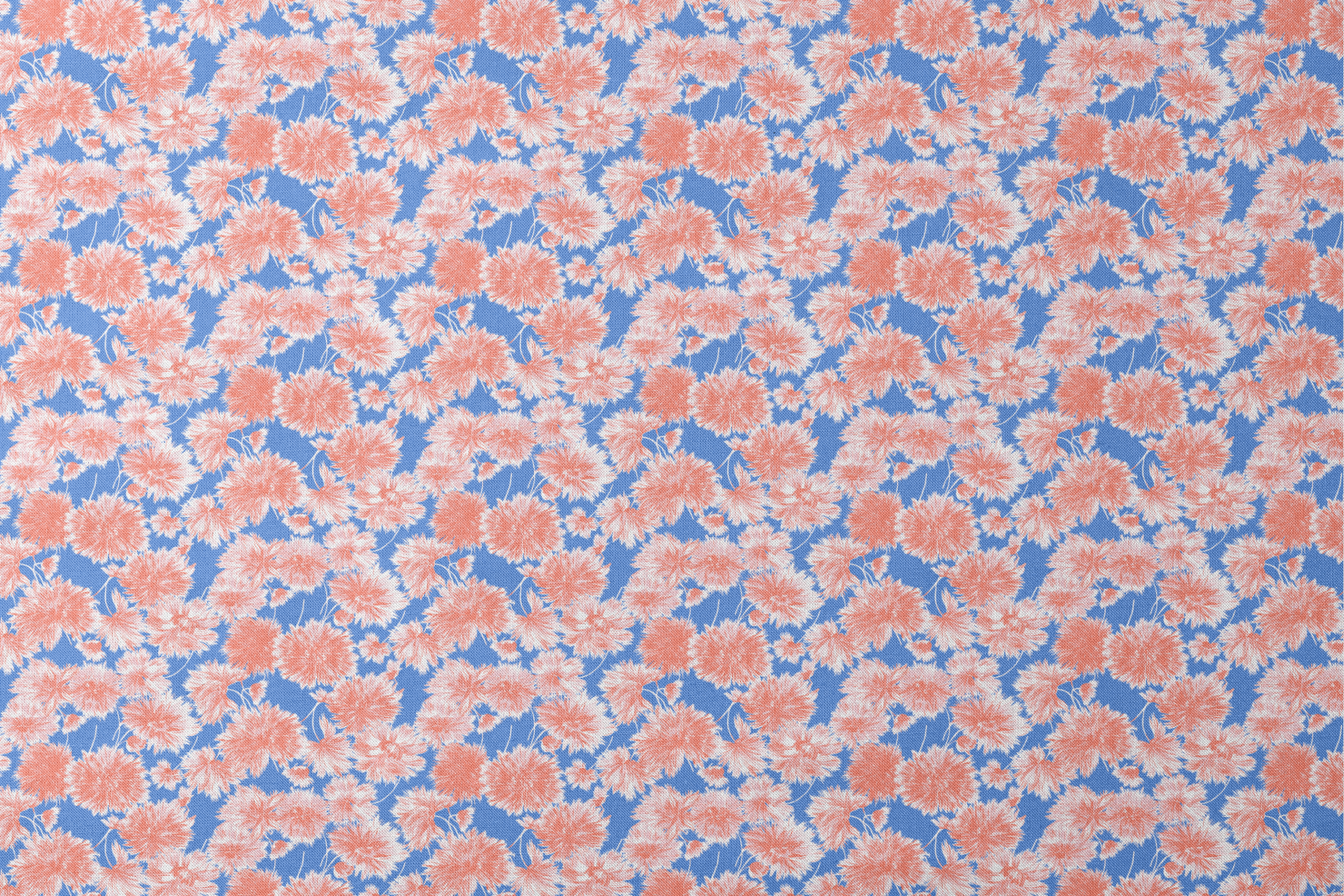 Coral pink floral pattern of chrysanthemums or dahlias on bright blue background designs flat mockup