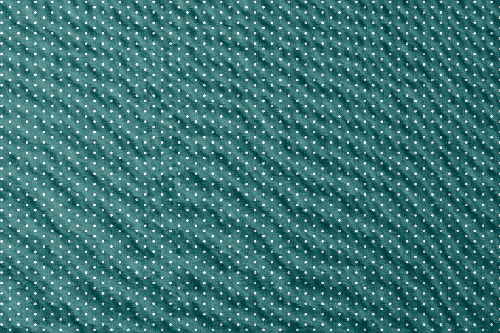White circles on a dark teal background designs flat mockup