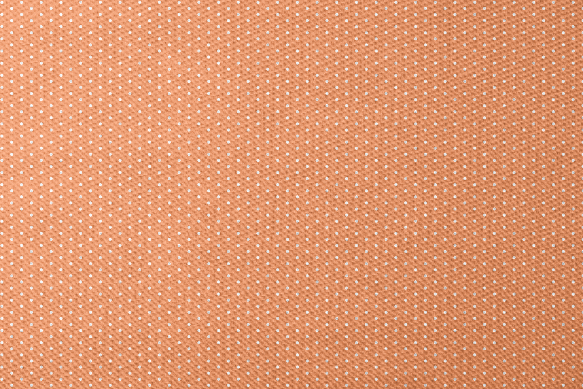 Two white circles on a bright orange background designs flat mockup