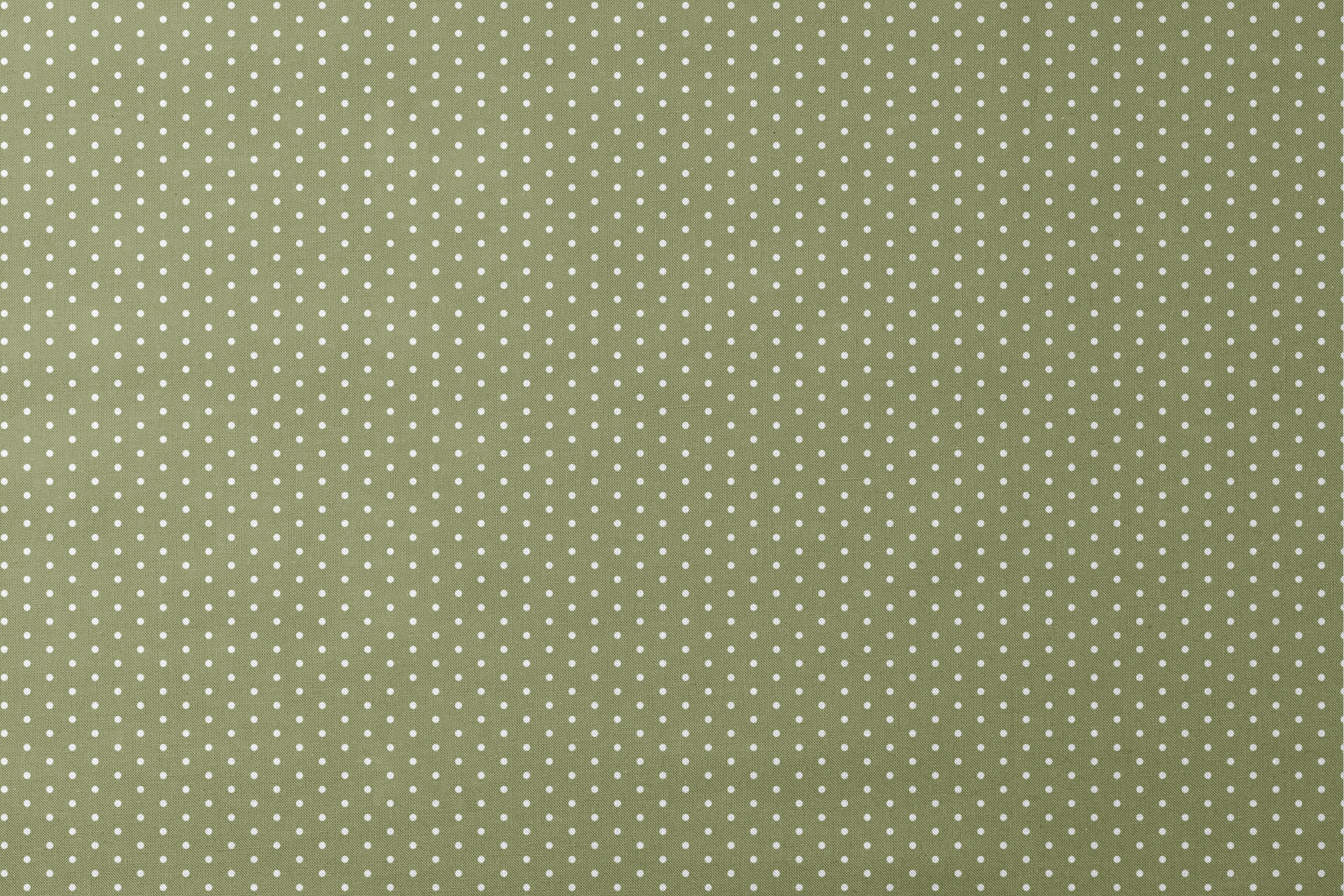 White circles on an olive green background designs flat mockup