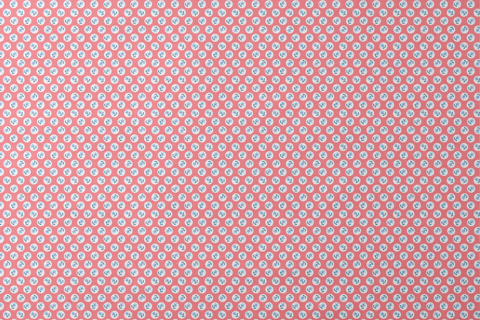 Coral pink background with white circles containing light blue floral designs arranged in a pattern designs flat mockup