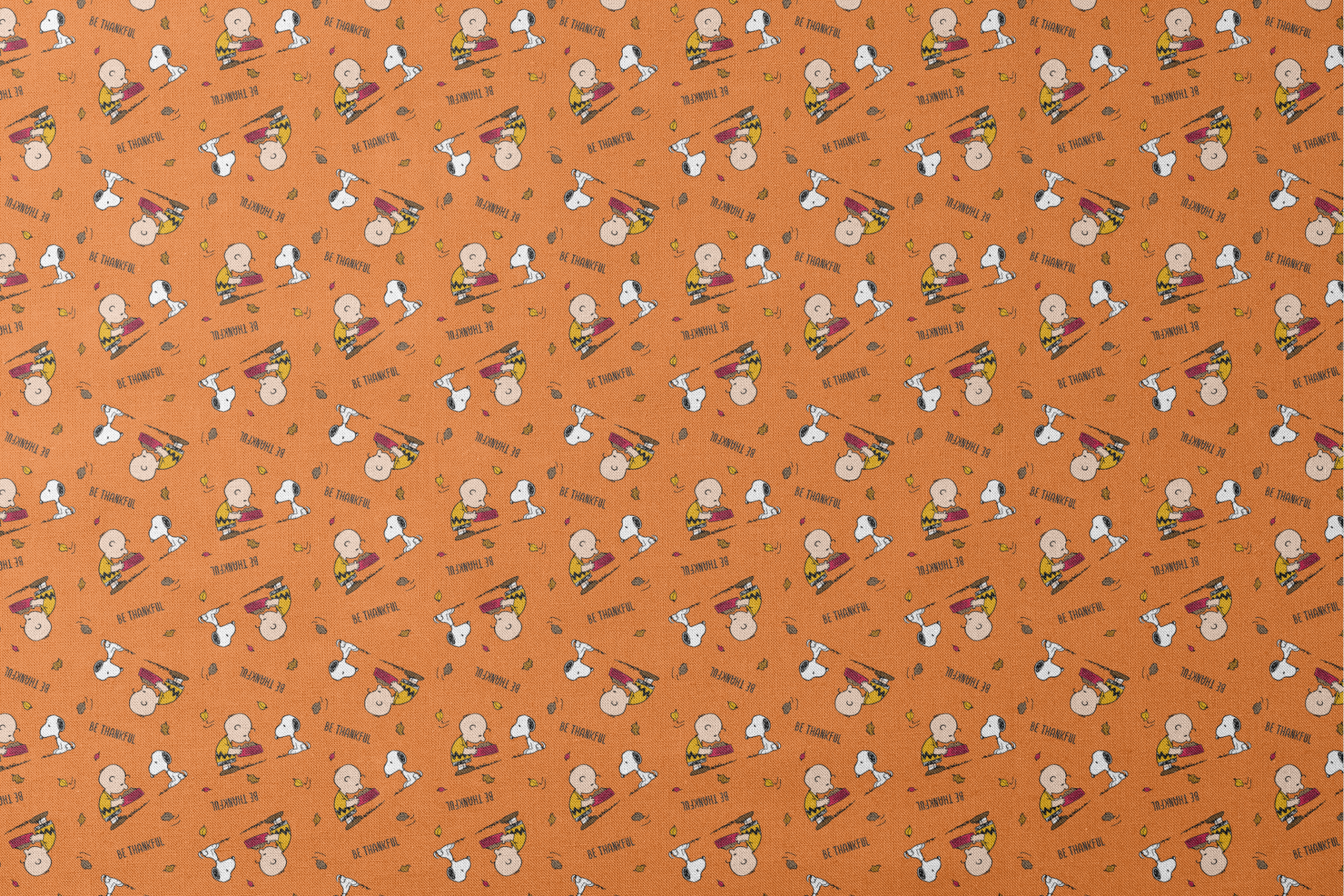 Peanuts characters on orange background with autumn leaves and "Be Thankful" text pattern designs flat mockup