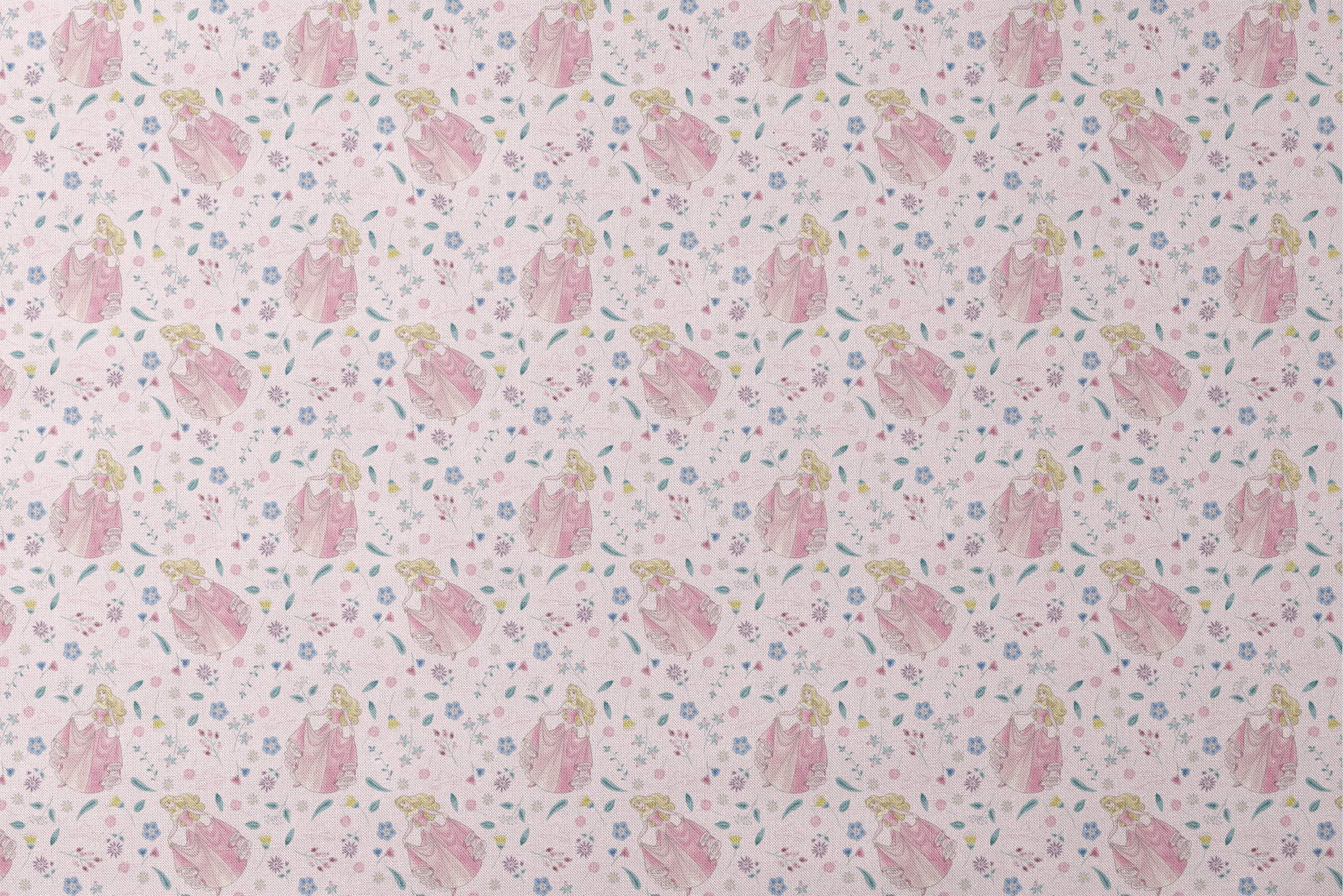 Disney's Sleeping Beauty surrounded by scattered flowers and leaves on light pink background designs flat mockup