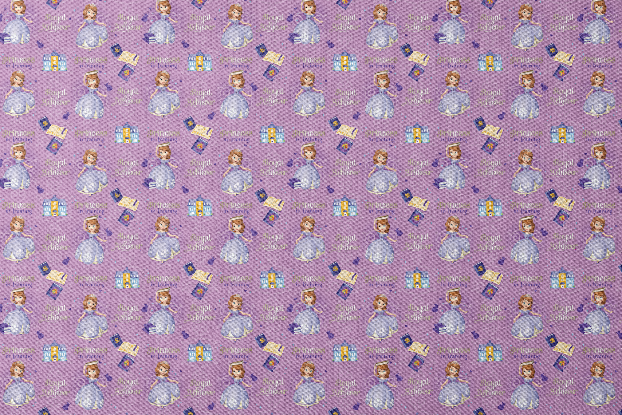 Princess Sofia pattern with "Royal Achiever" and "Princess in Training" text, purple background with castles and books designs flat mockup