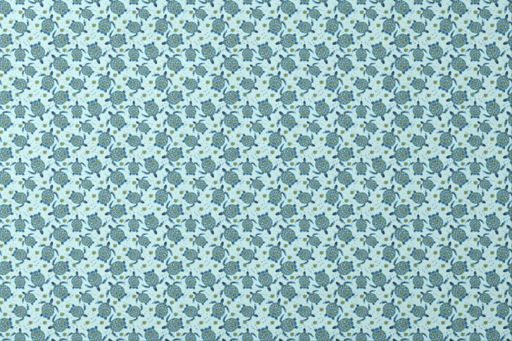 designs flat mockup