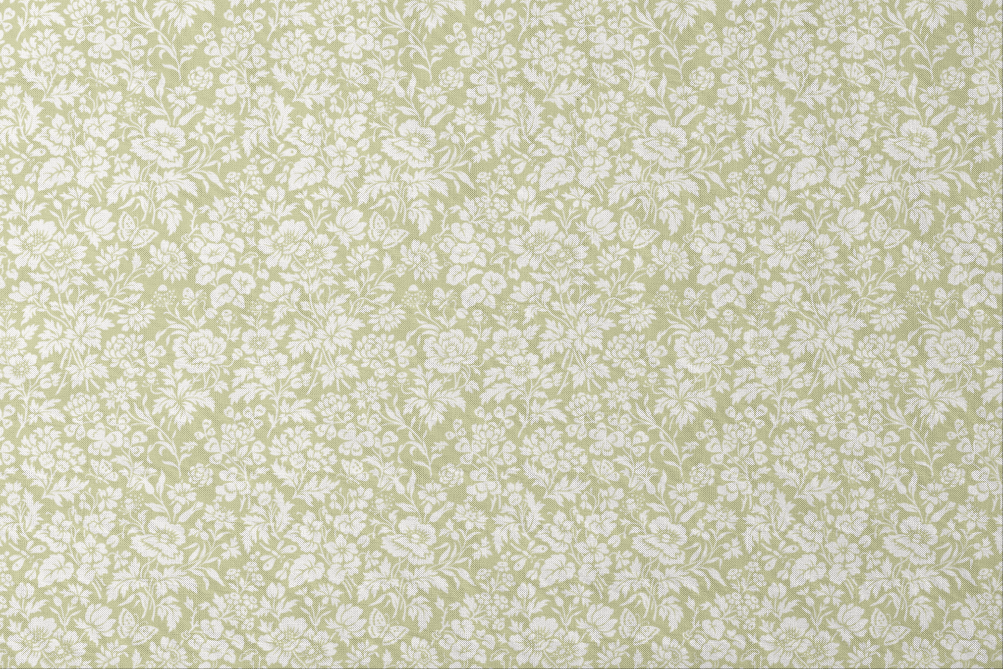 designs flat mockup
