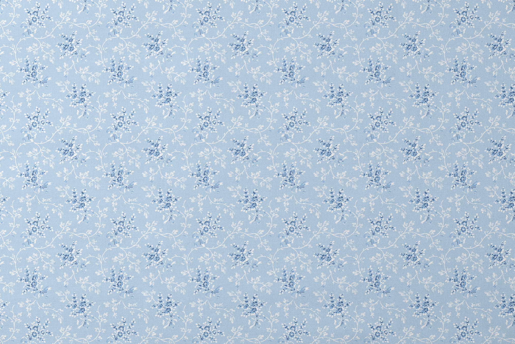 designs flat mockup