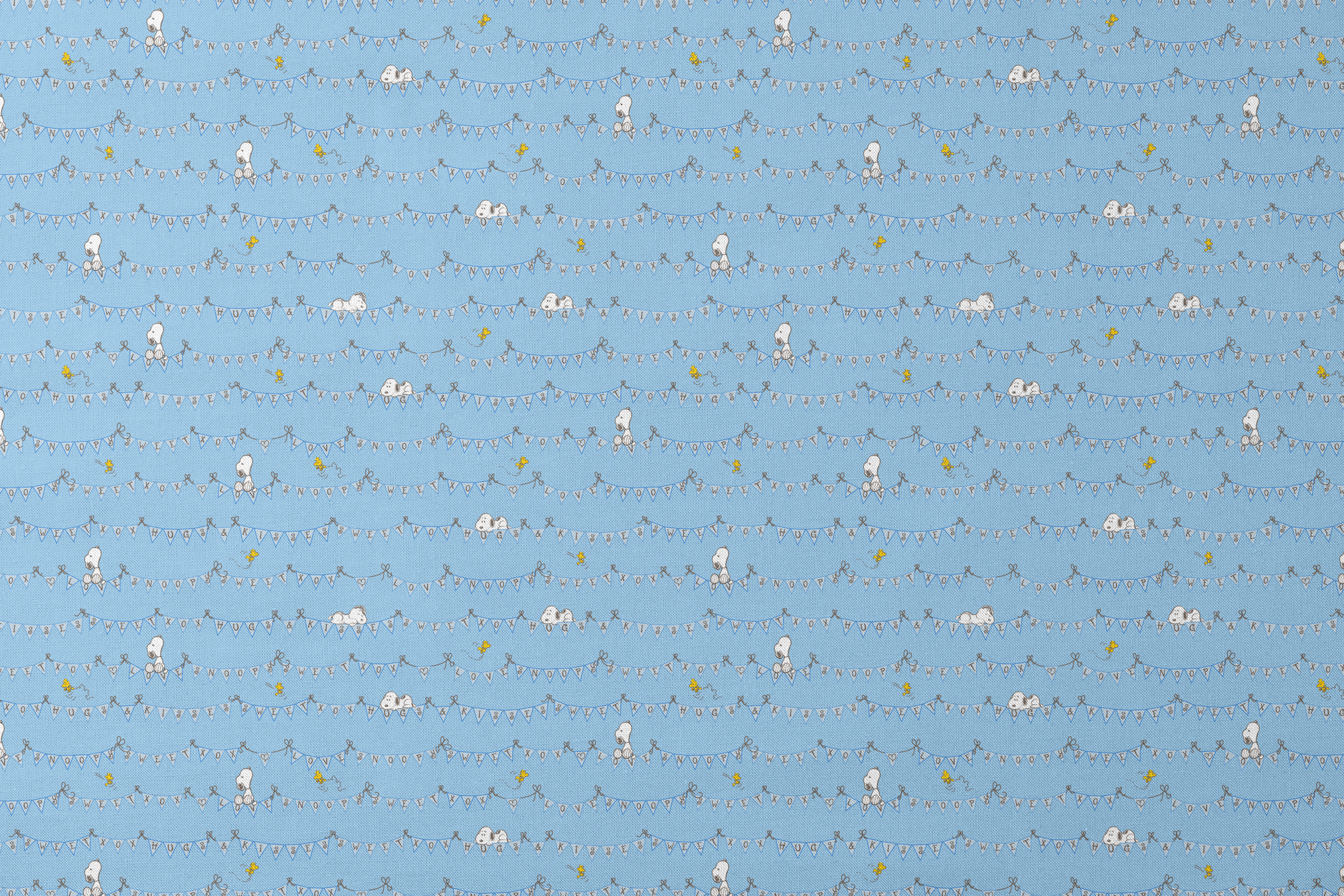 designs flat mockup