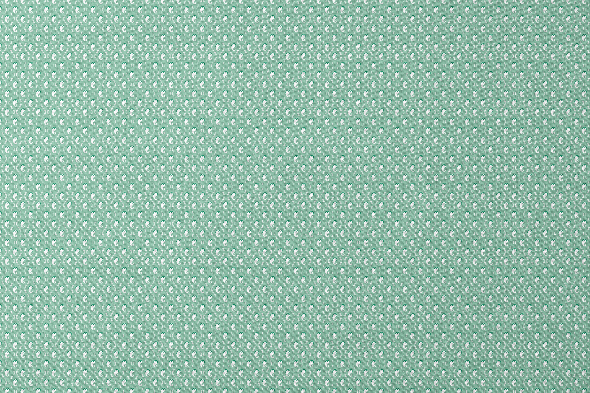 designs flat mockup