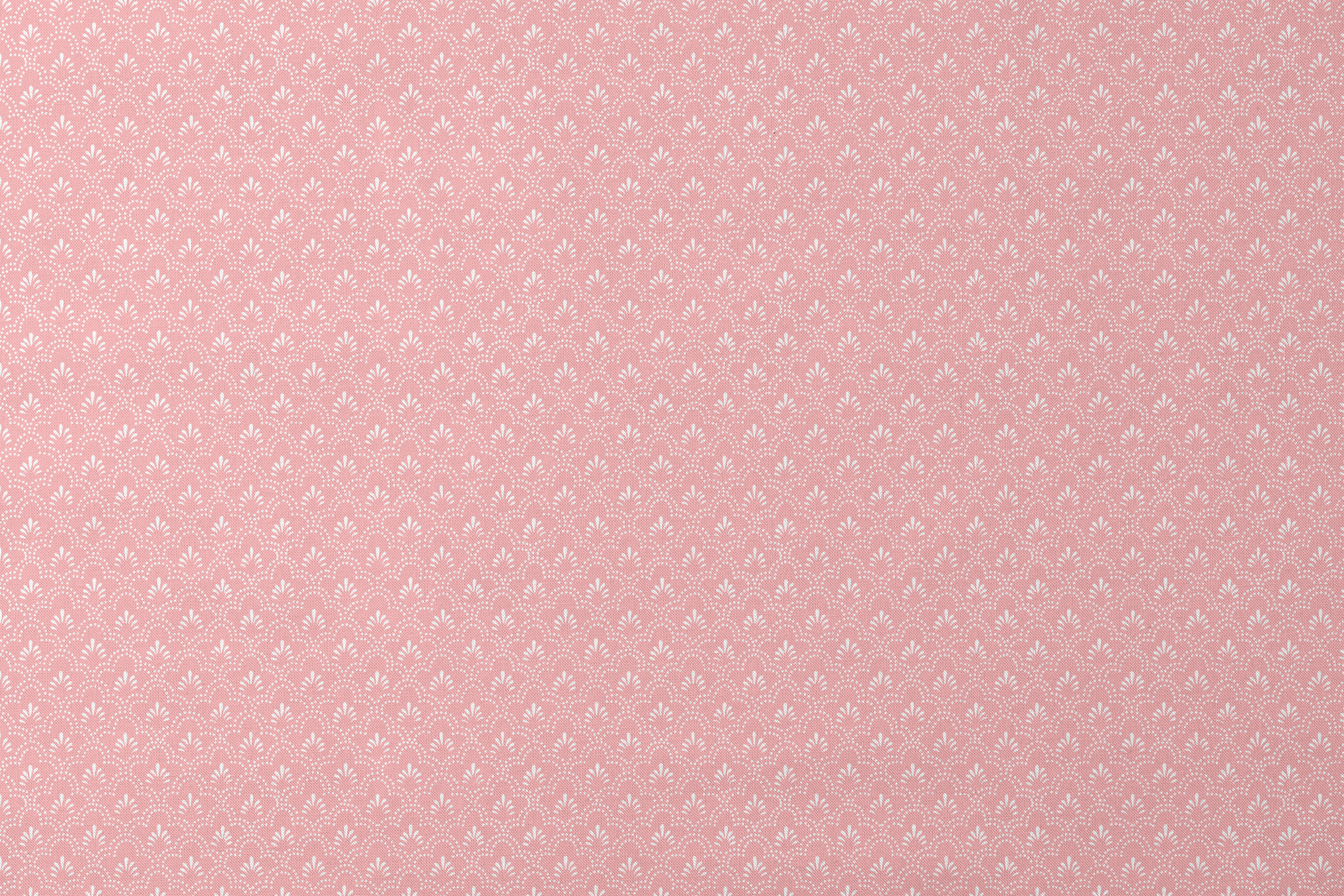 designs flat mockup