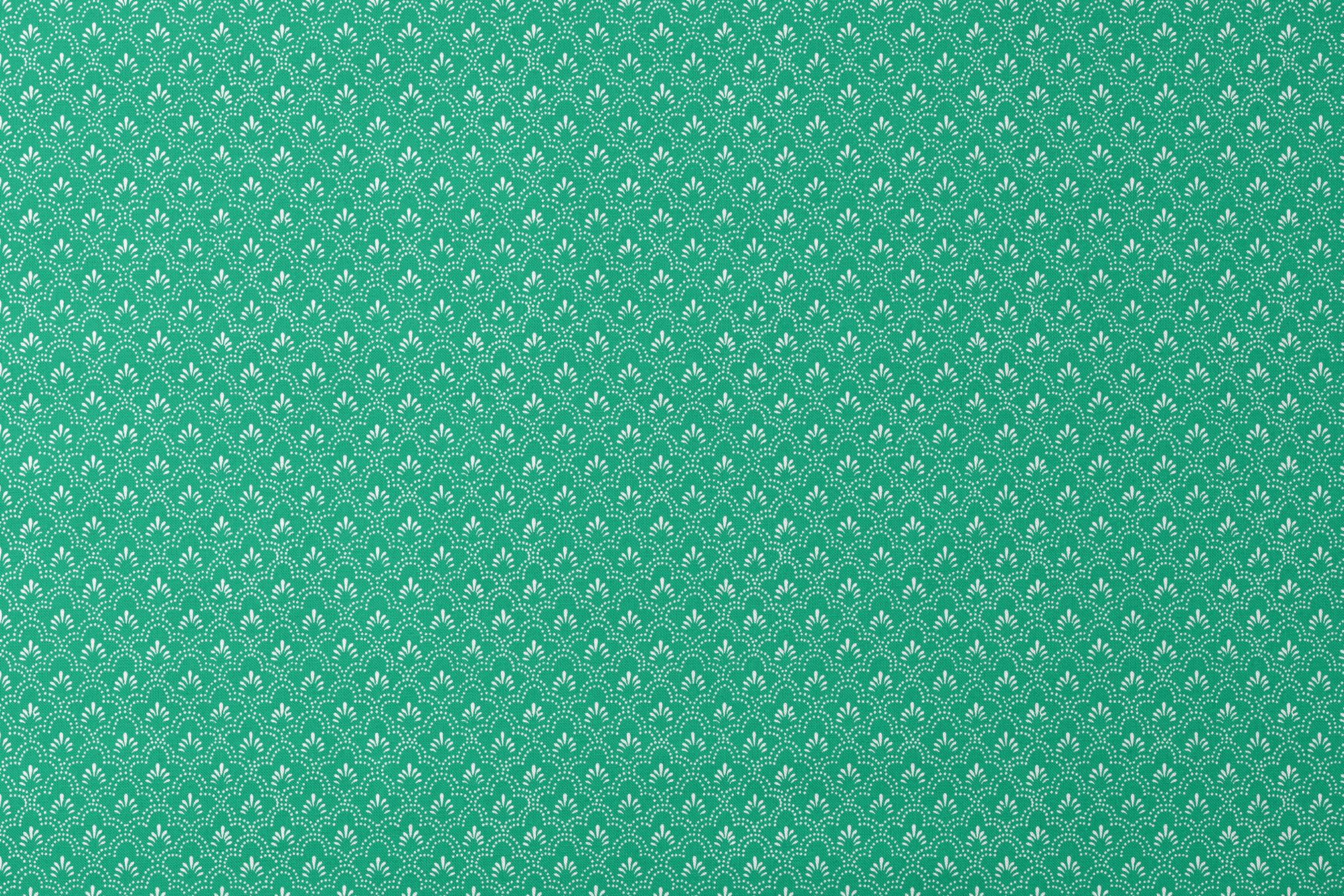 designs flat mockup