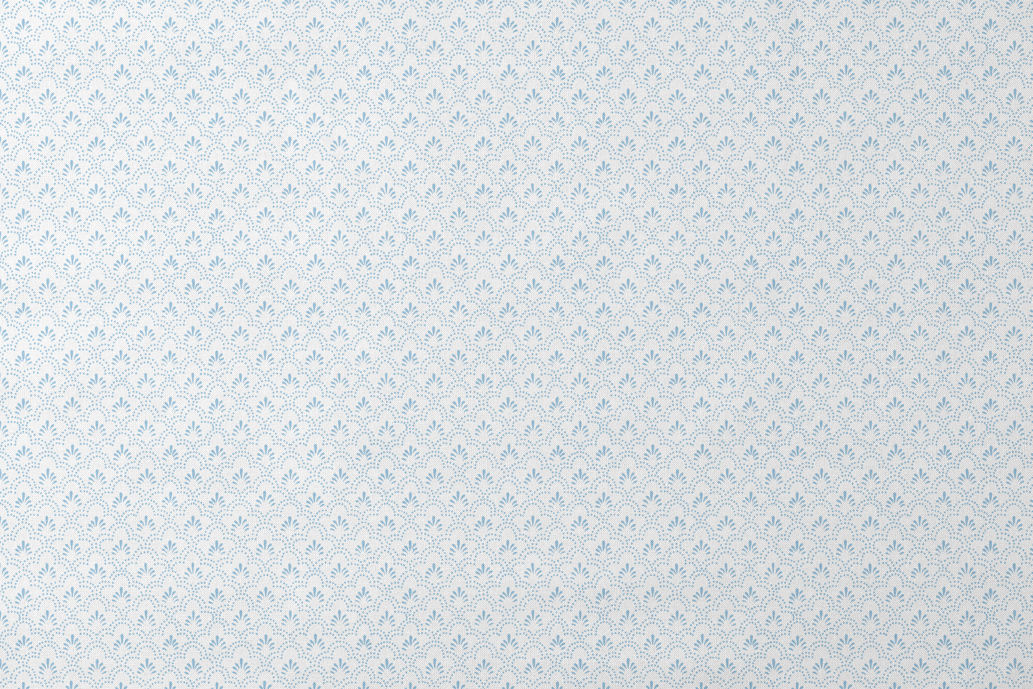 designs flat mockup
