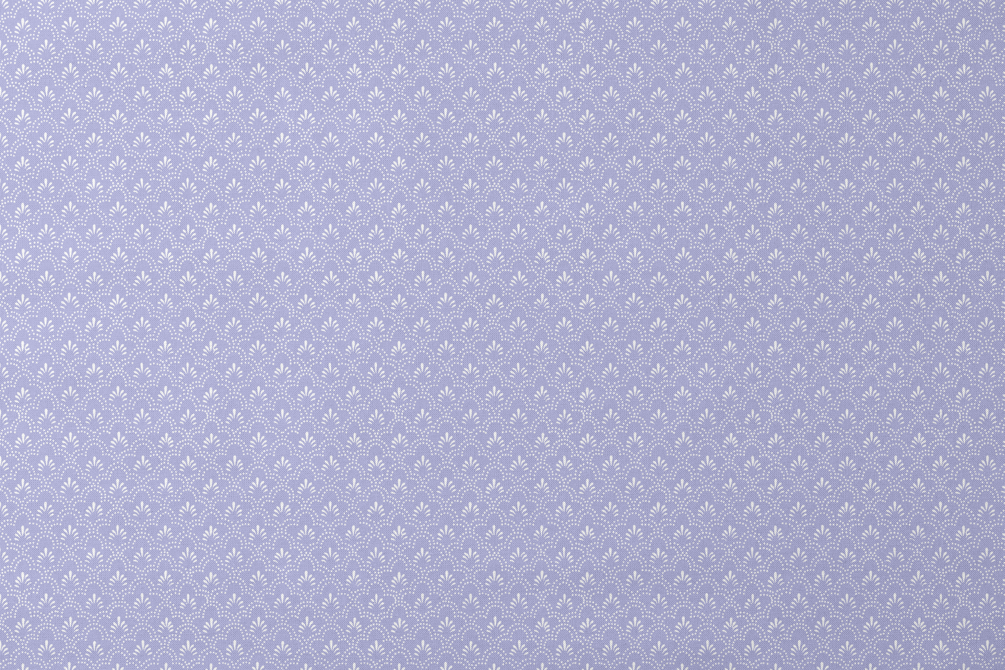 designs flat mockup