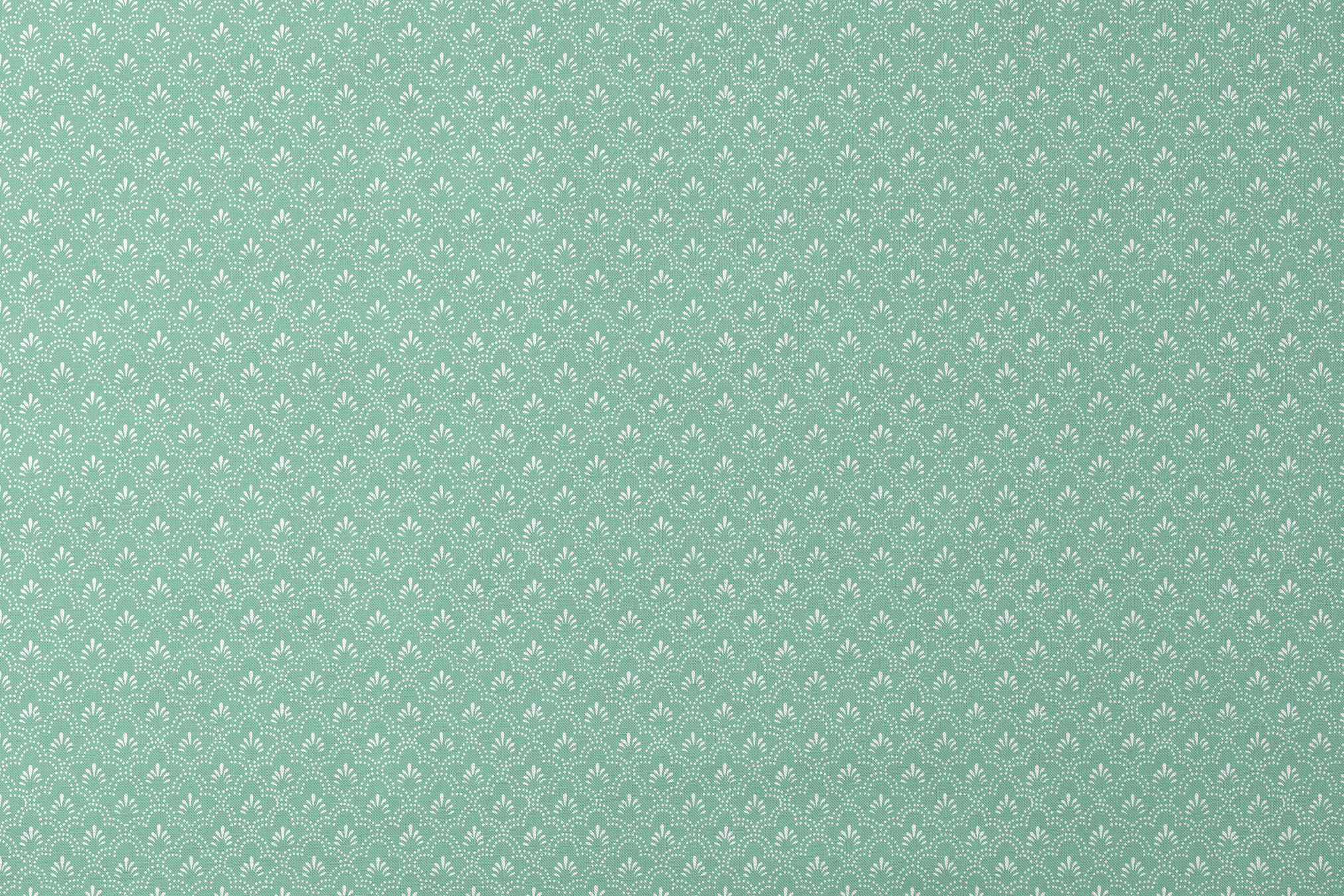 designs flat mockup
