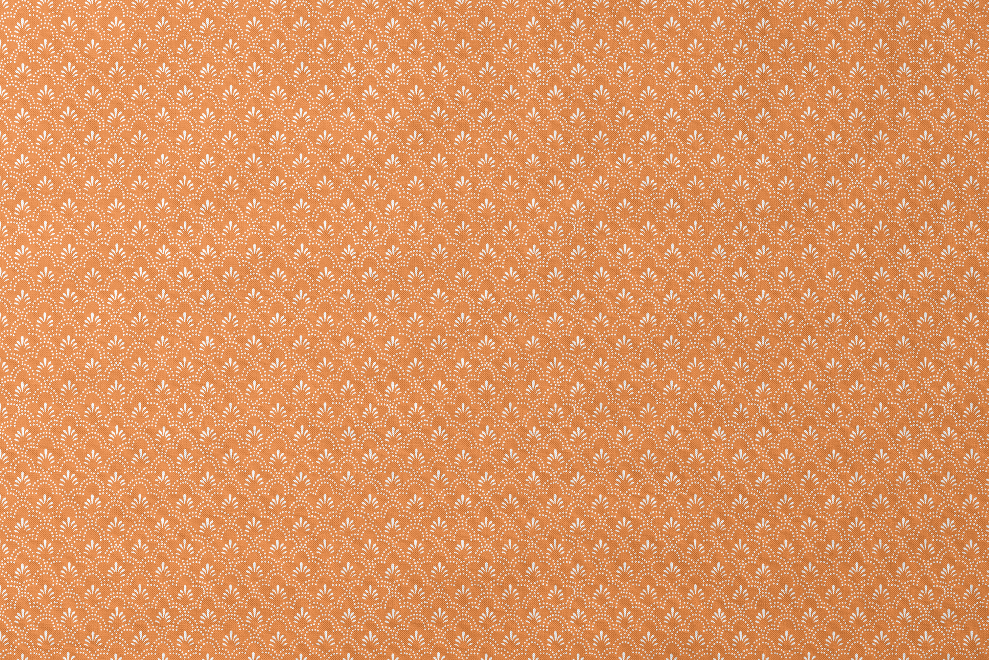 designs flat mockup