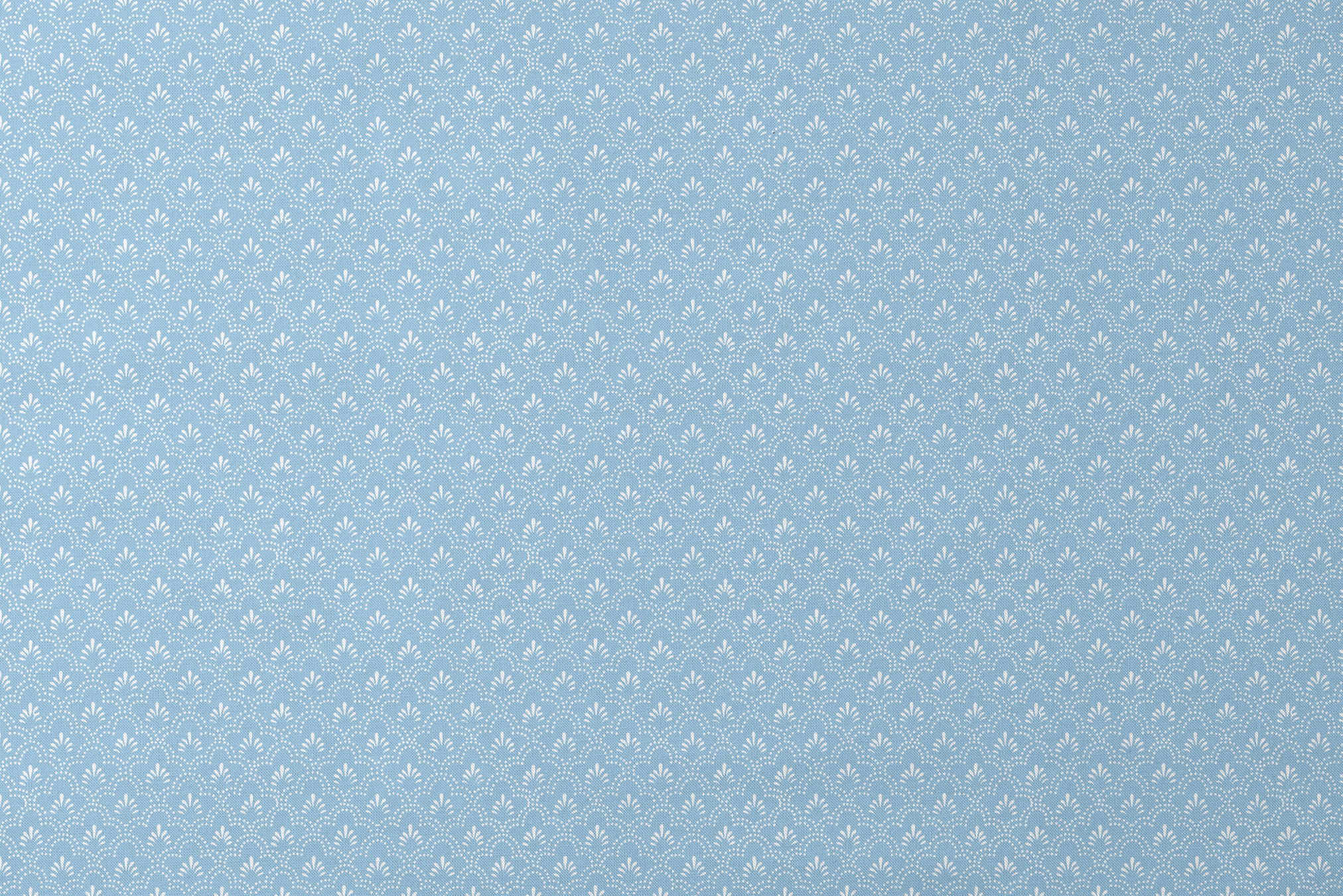 designs flat mockup