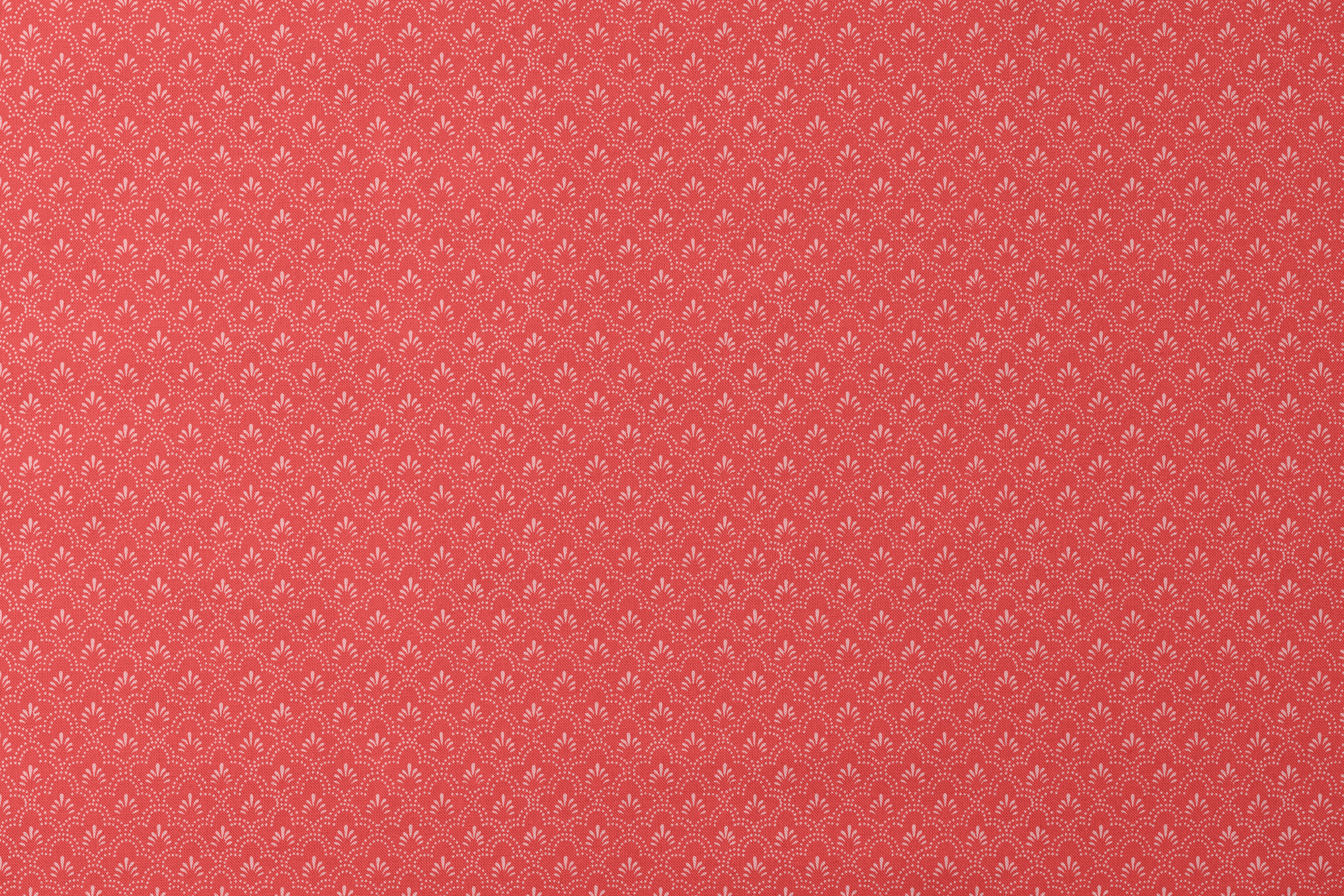 designs flat mockup