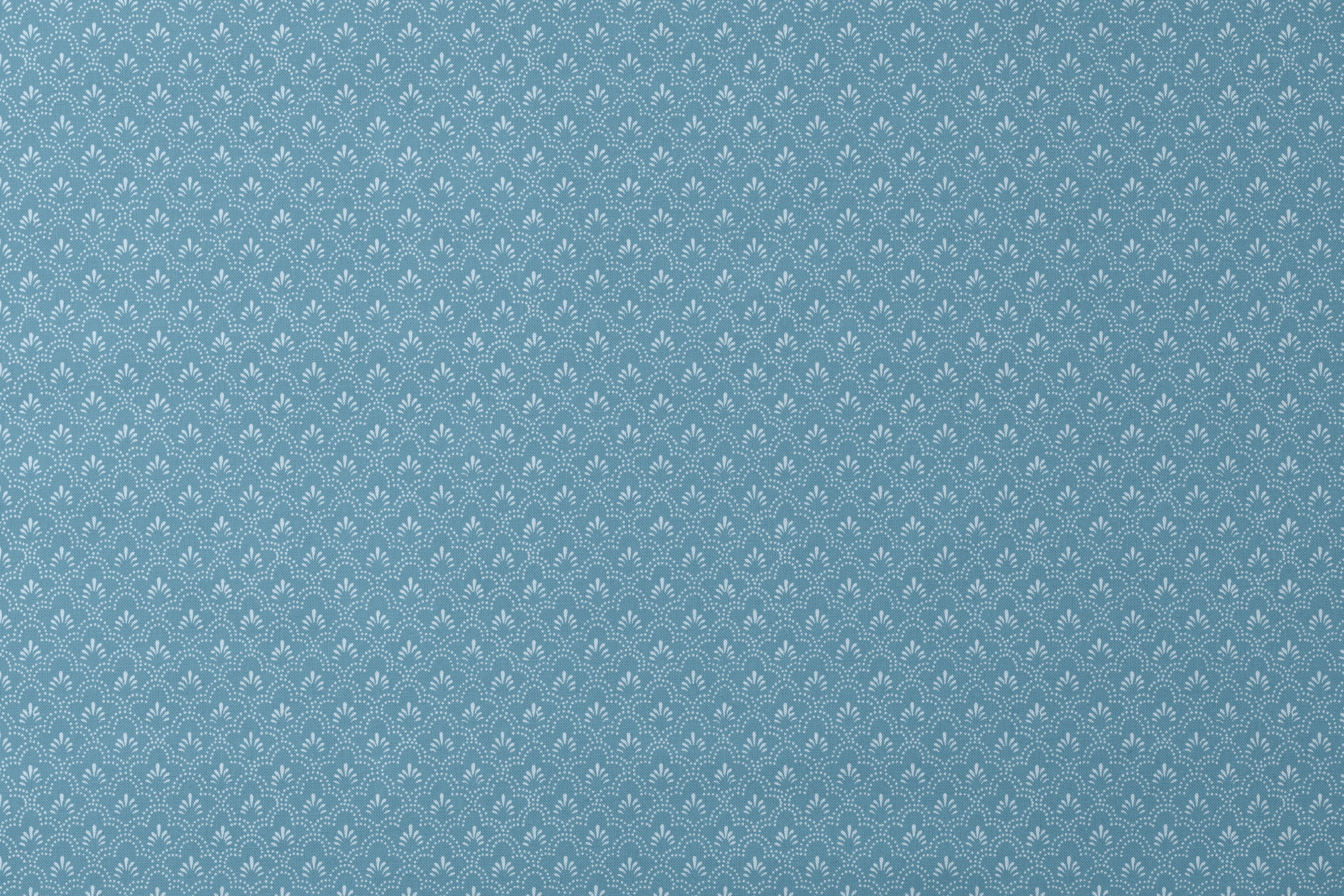 designs flat mockup