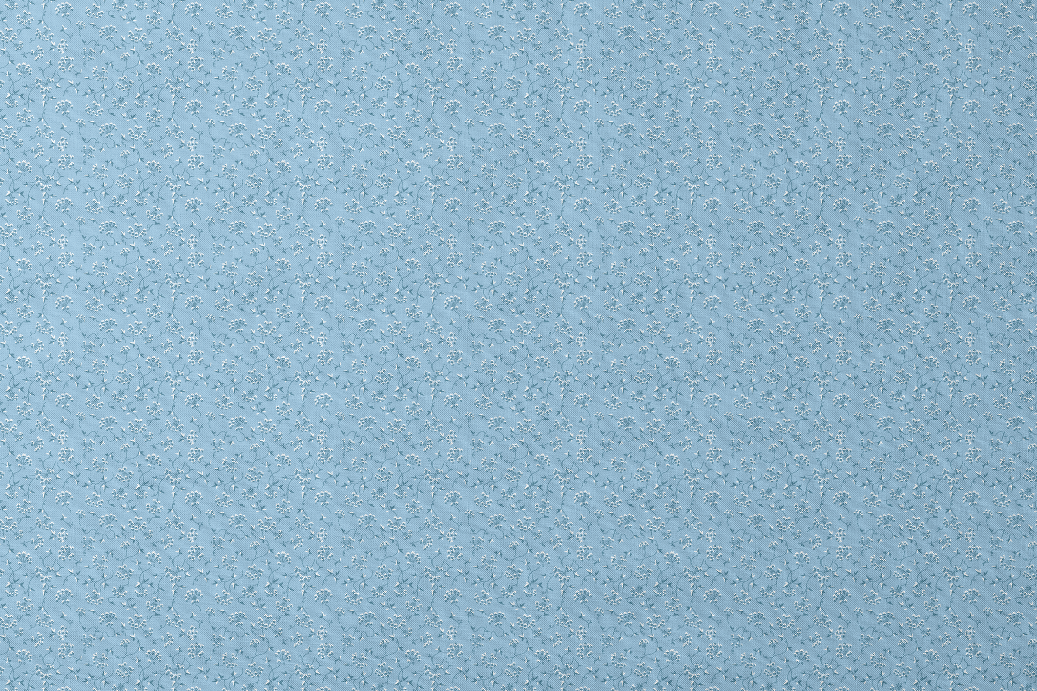 designs flat mockup