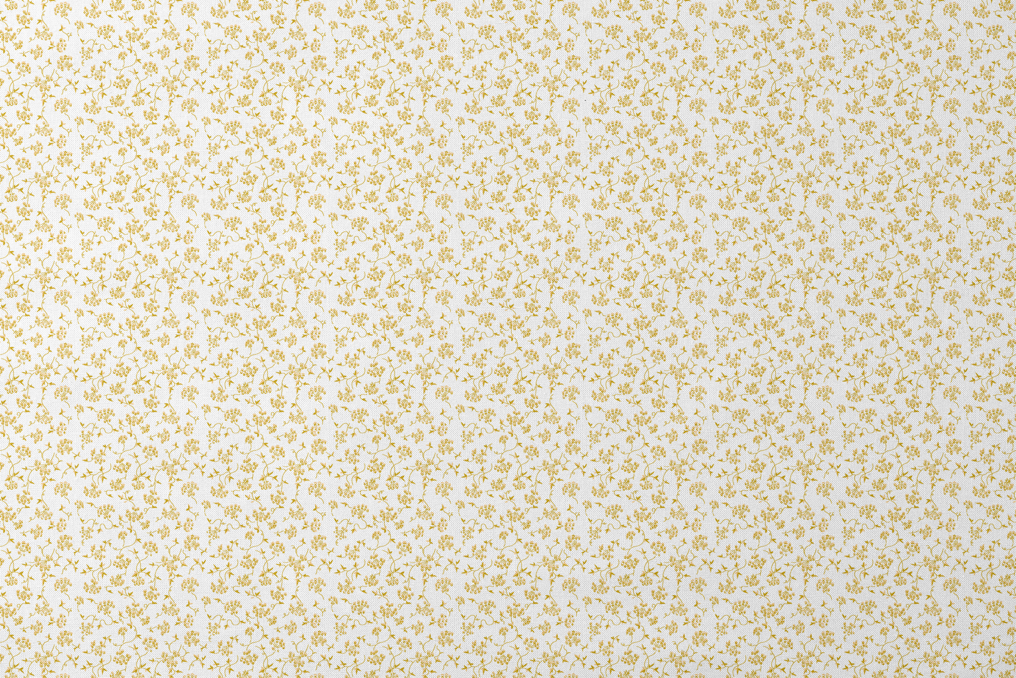 designs flat mockup