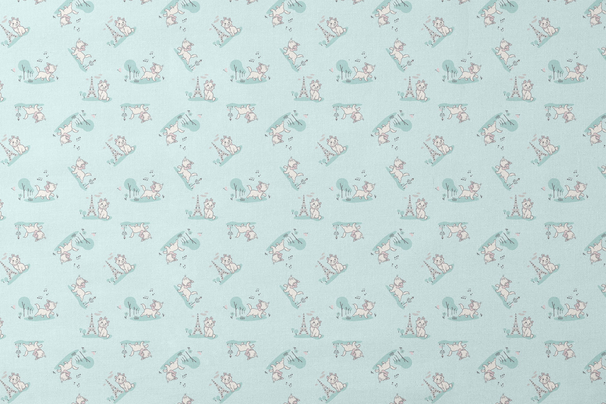 designs flat mockup