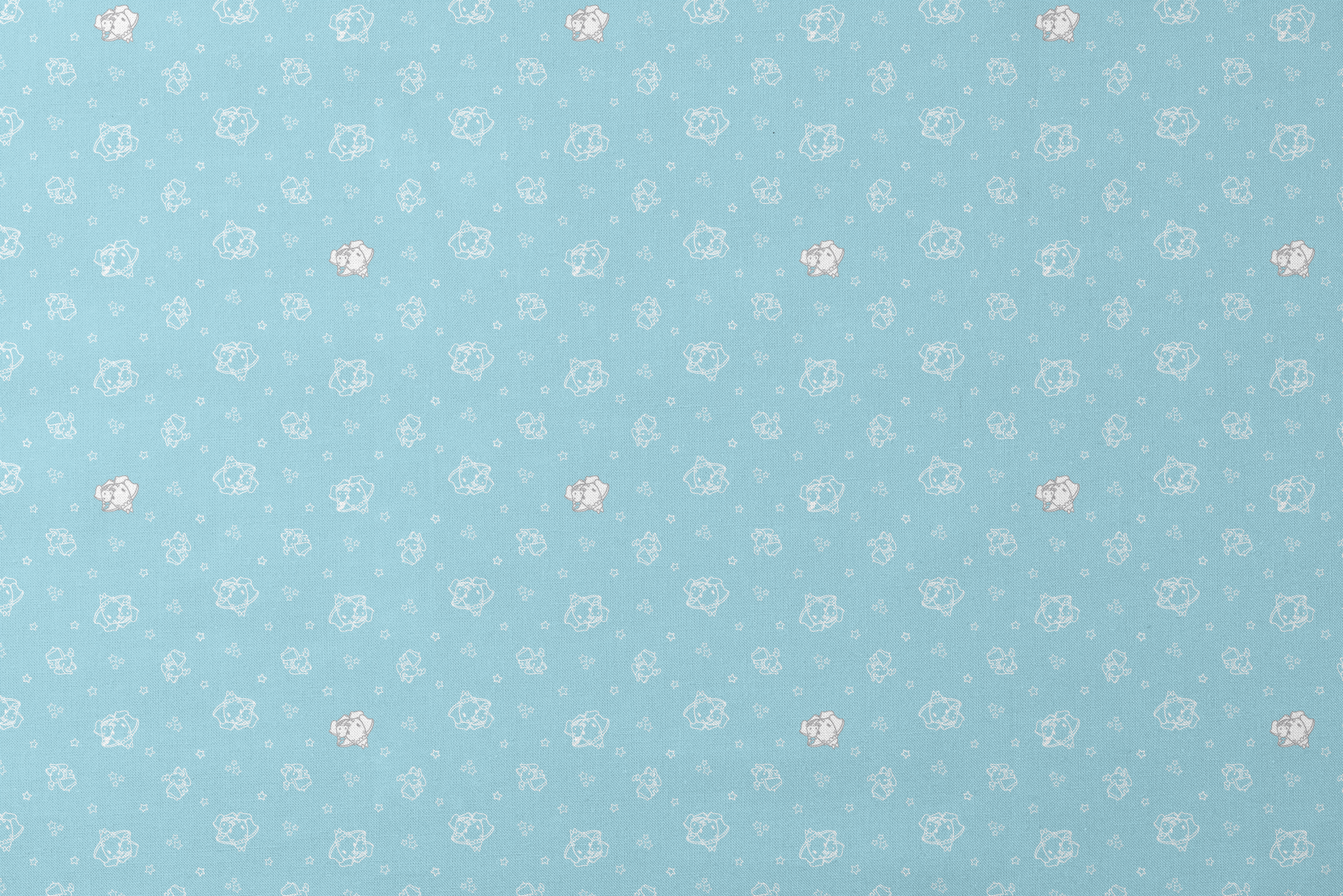 designs flat mockup