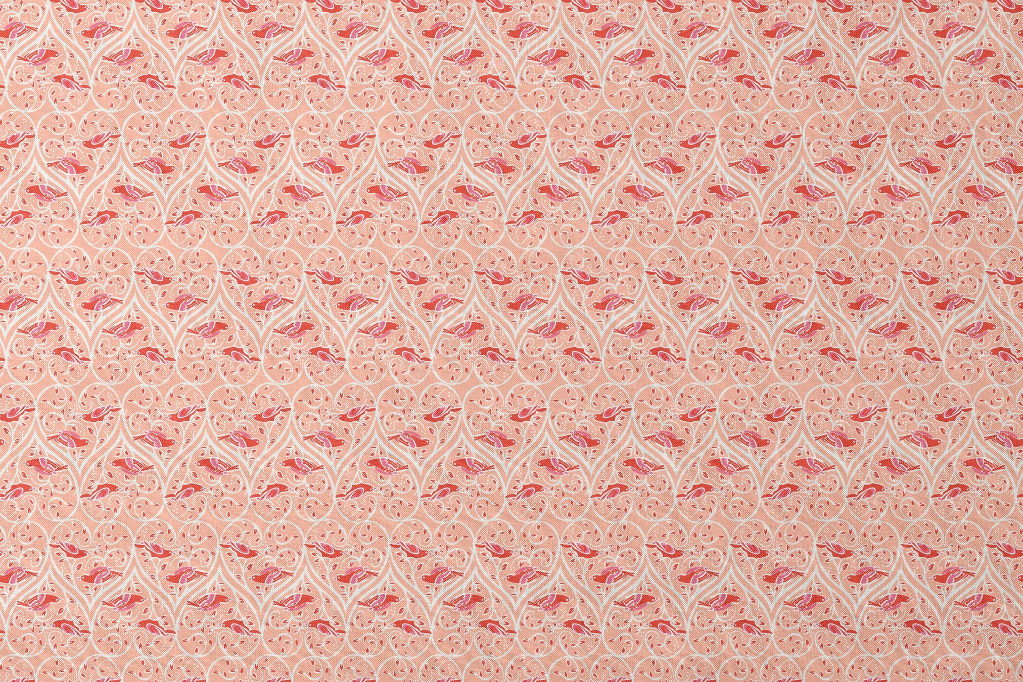 designs flat mockup