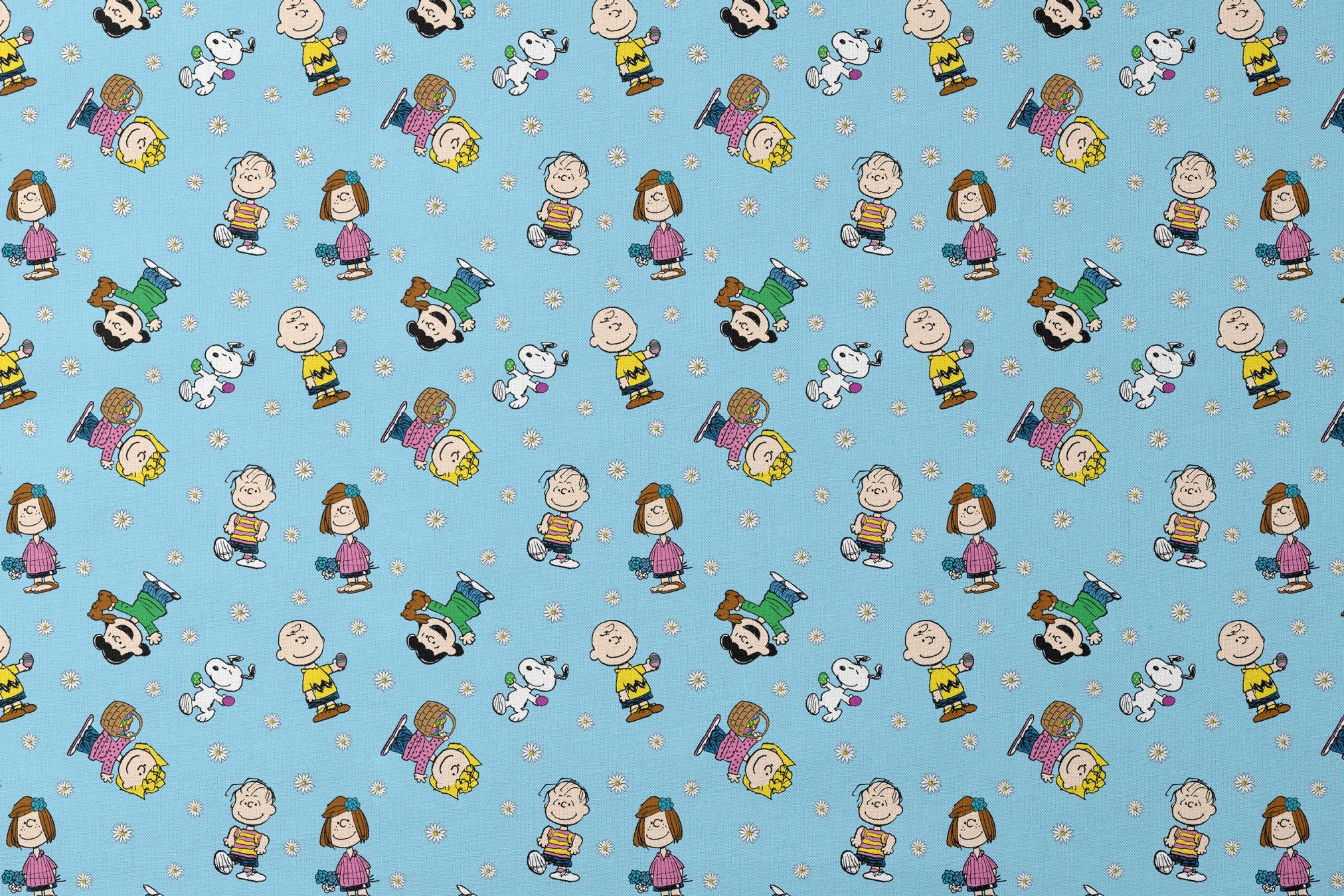 Peanuts cartoon characters scattered on light blue background with white daisies pattern designs flat mockup