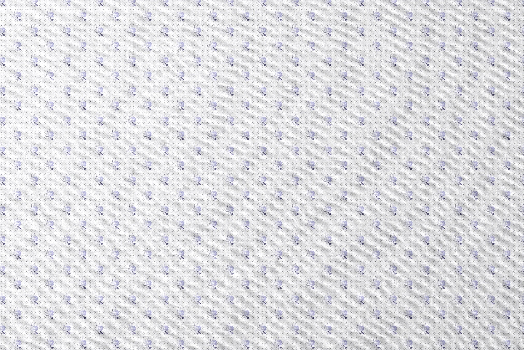 designs flat mockup