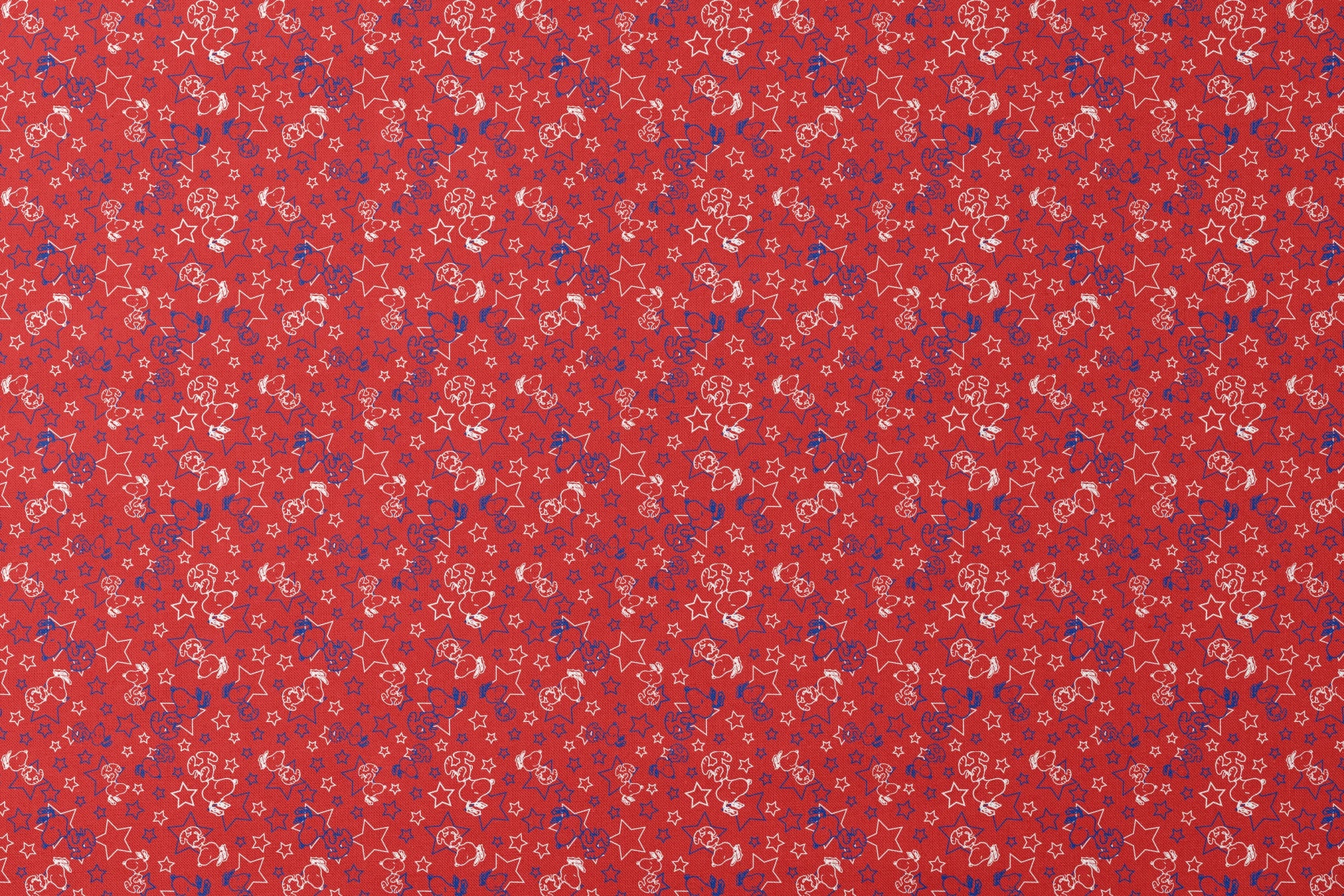designs flat mockup