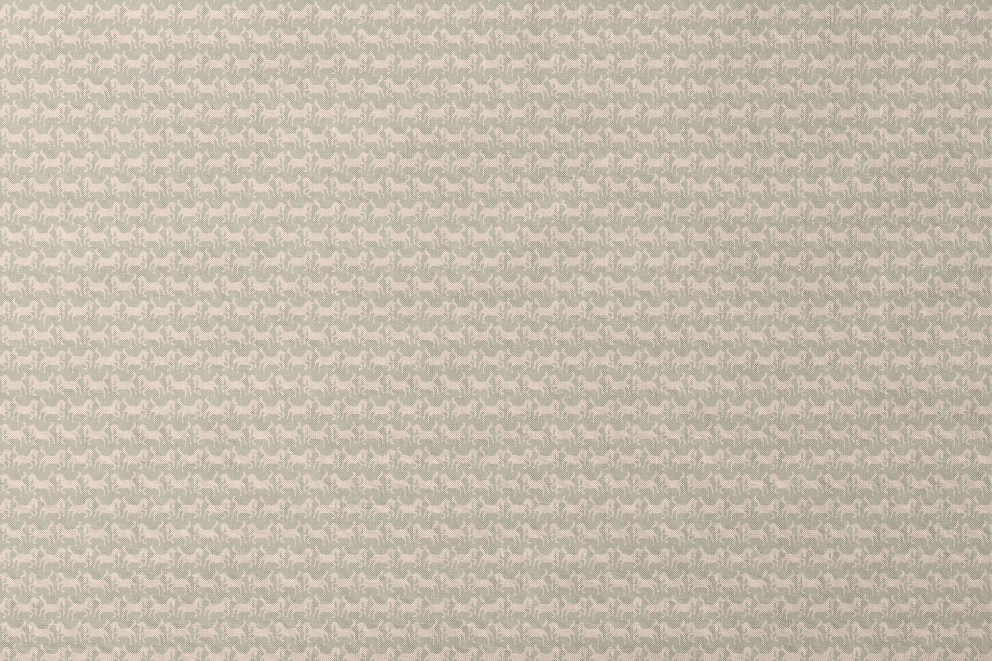 designs flat mockup
