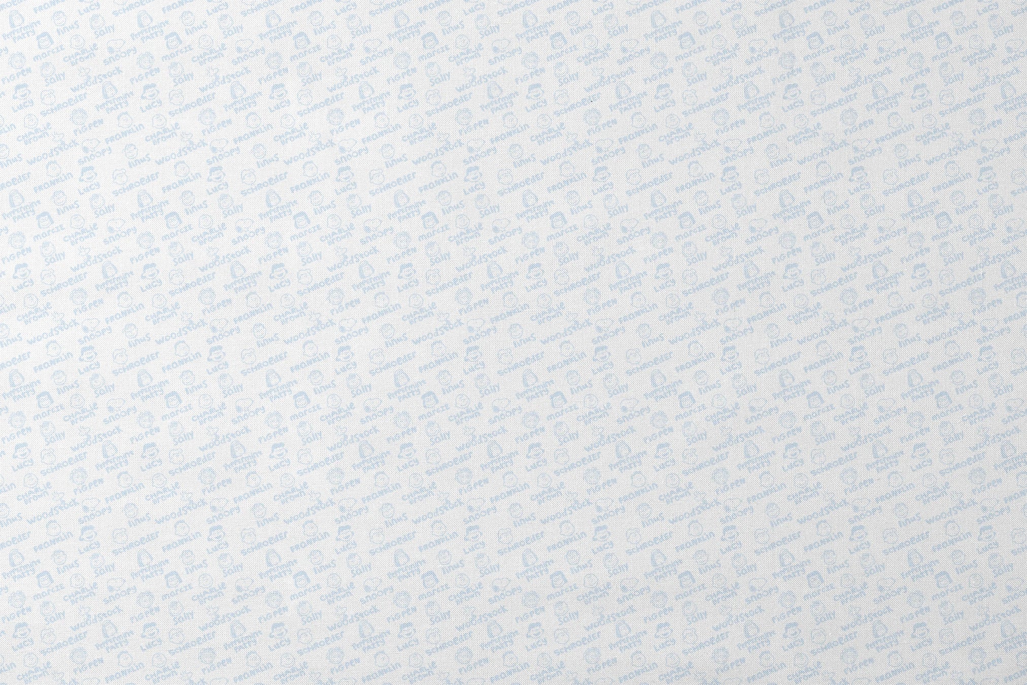 designs flat mockup
