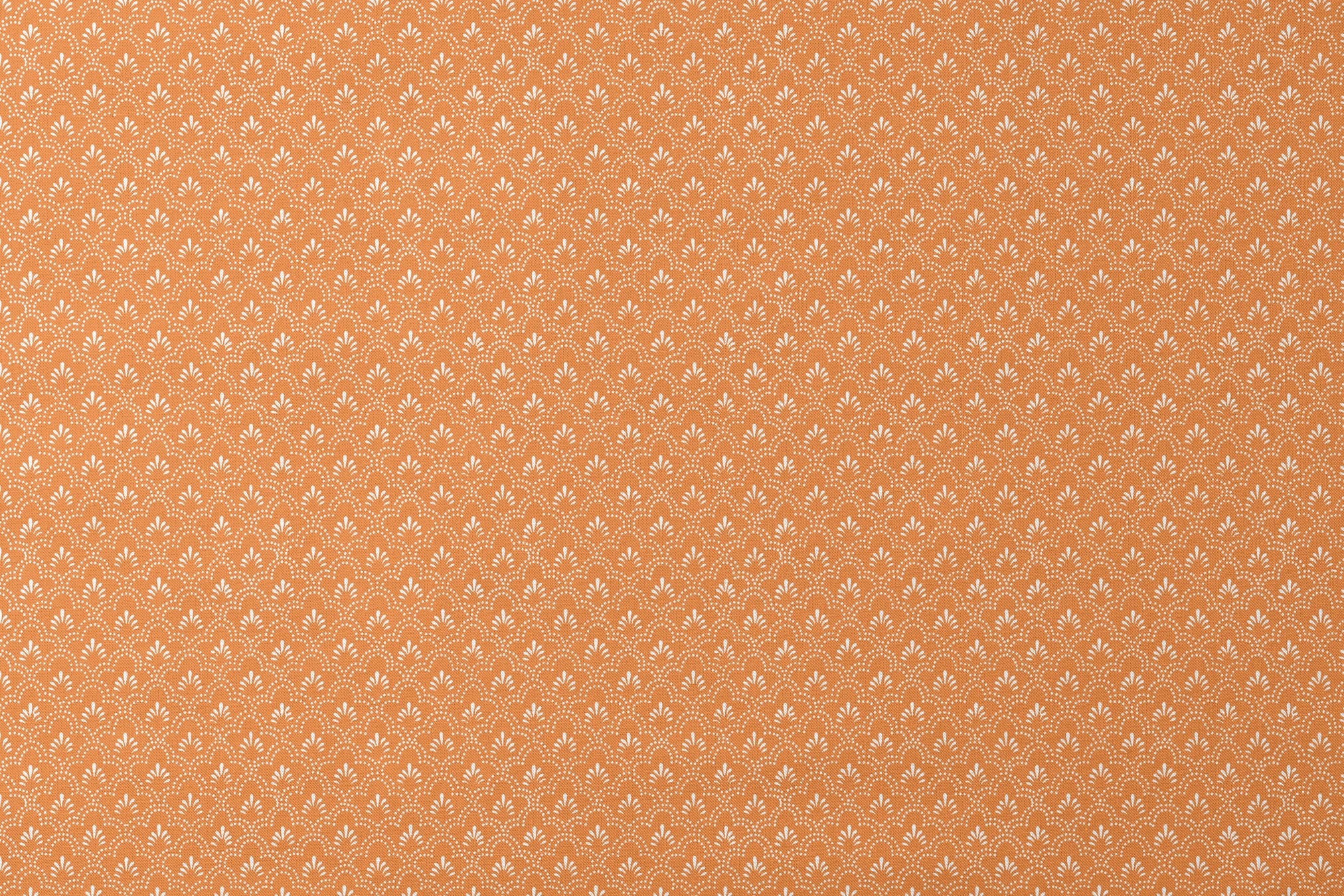 designs flat mockup