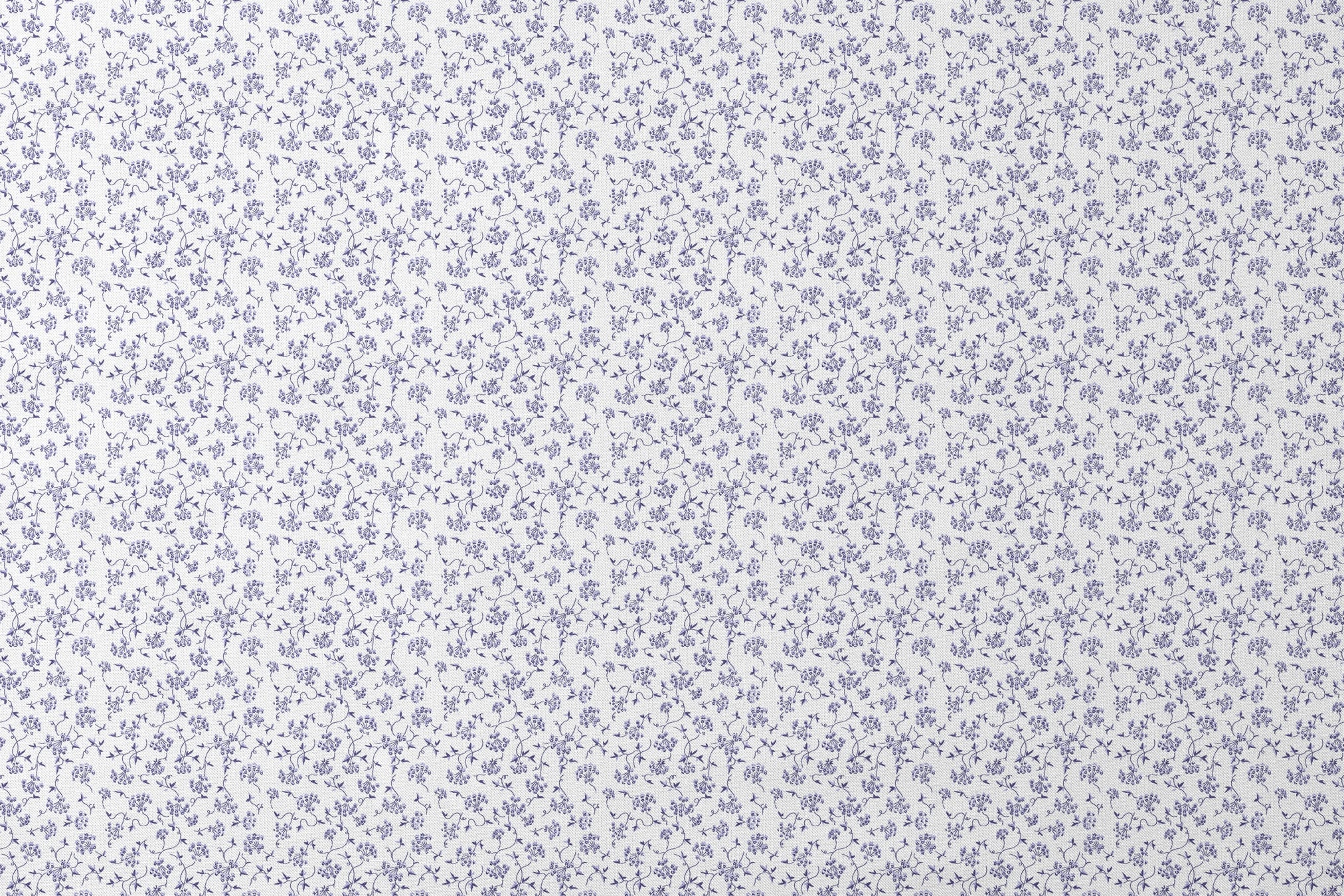 designs flat mockup