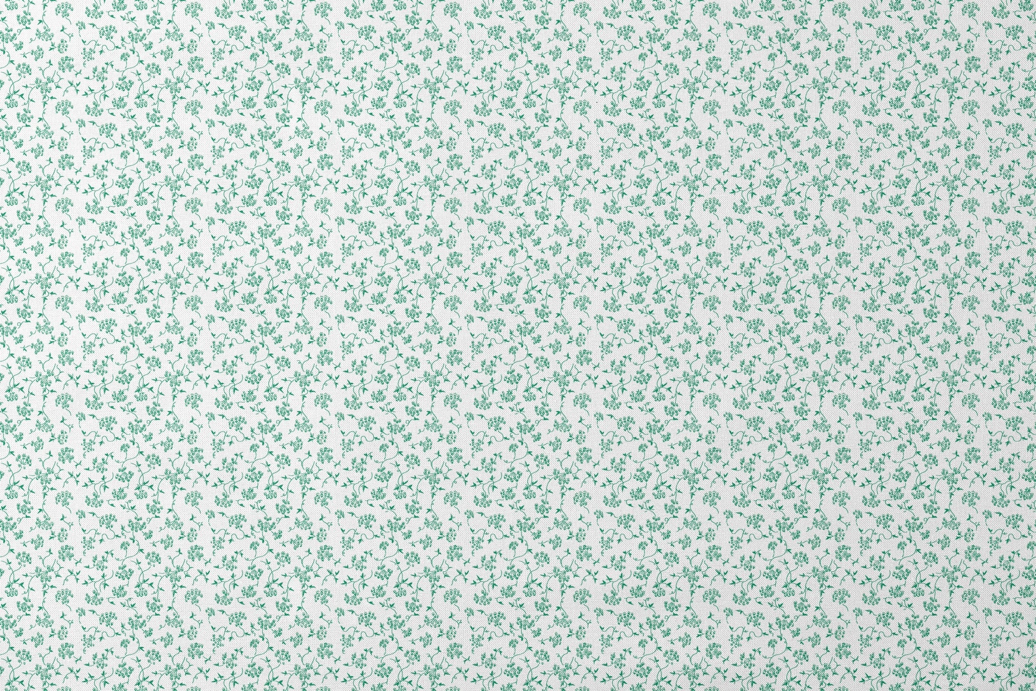 designs flat mockup