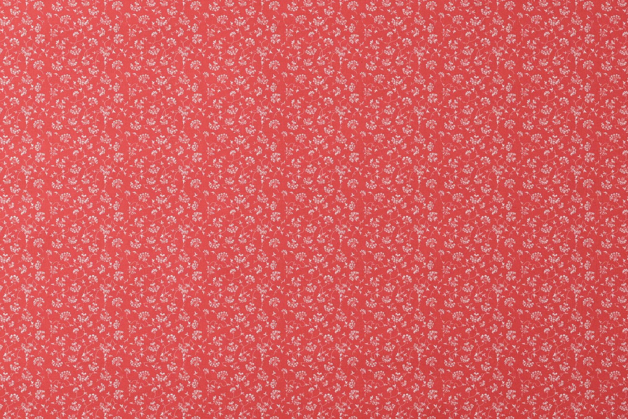 designs flat mockup