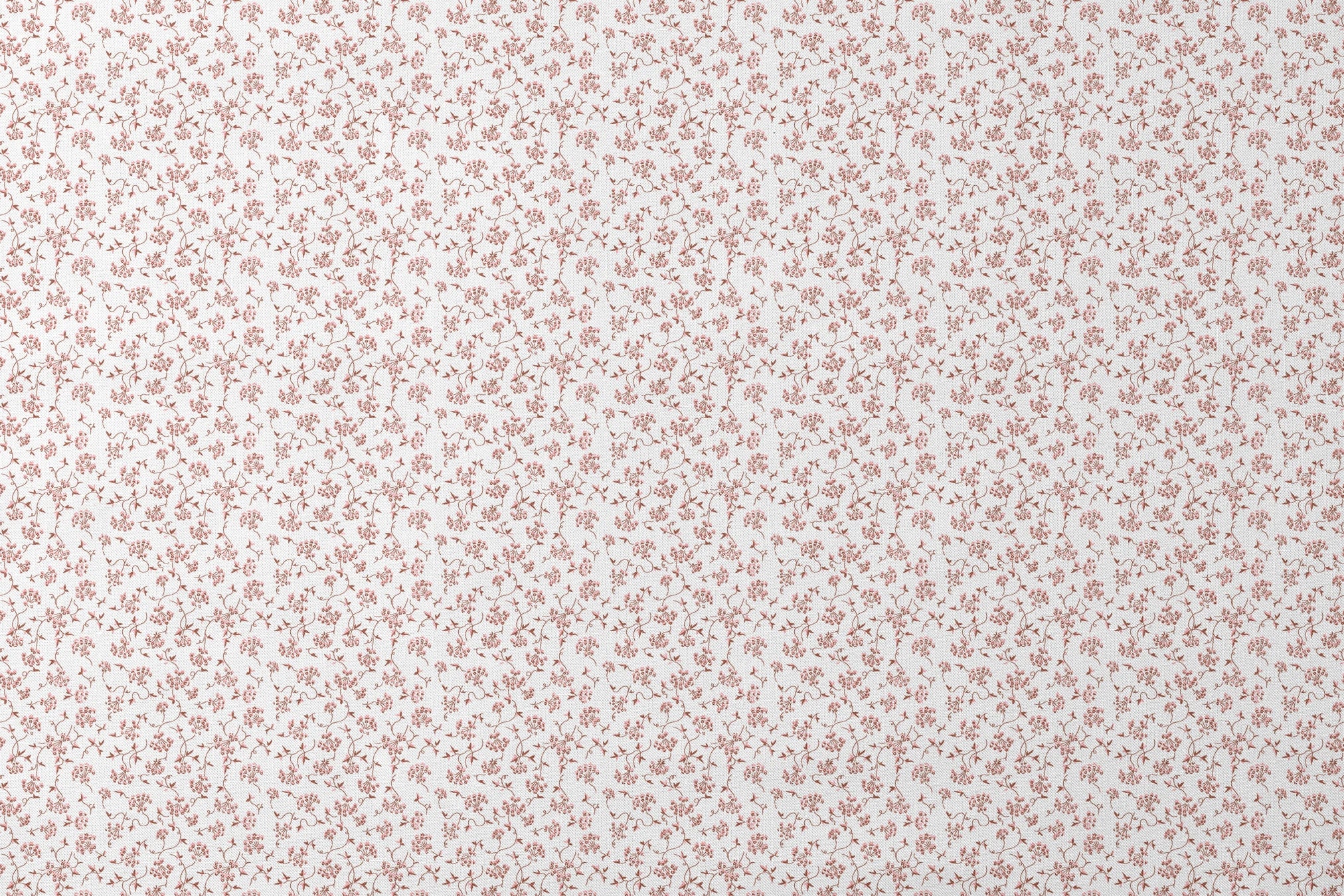 designs flat mockup