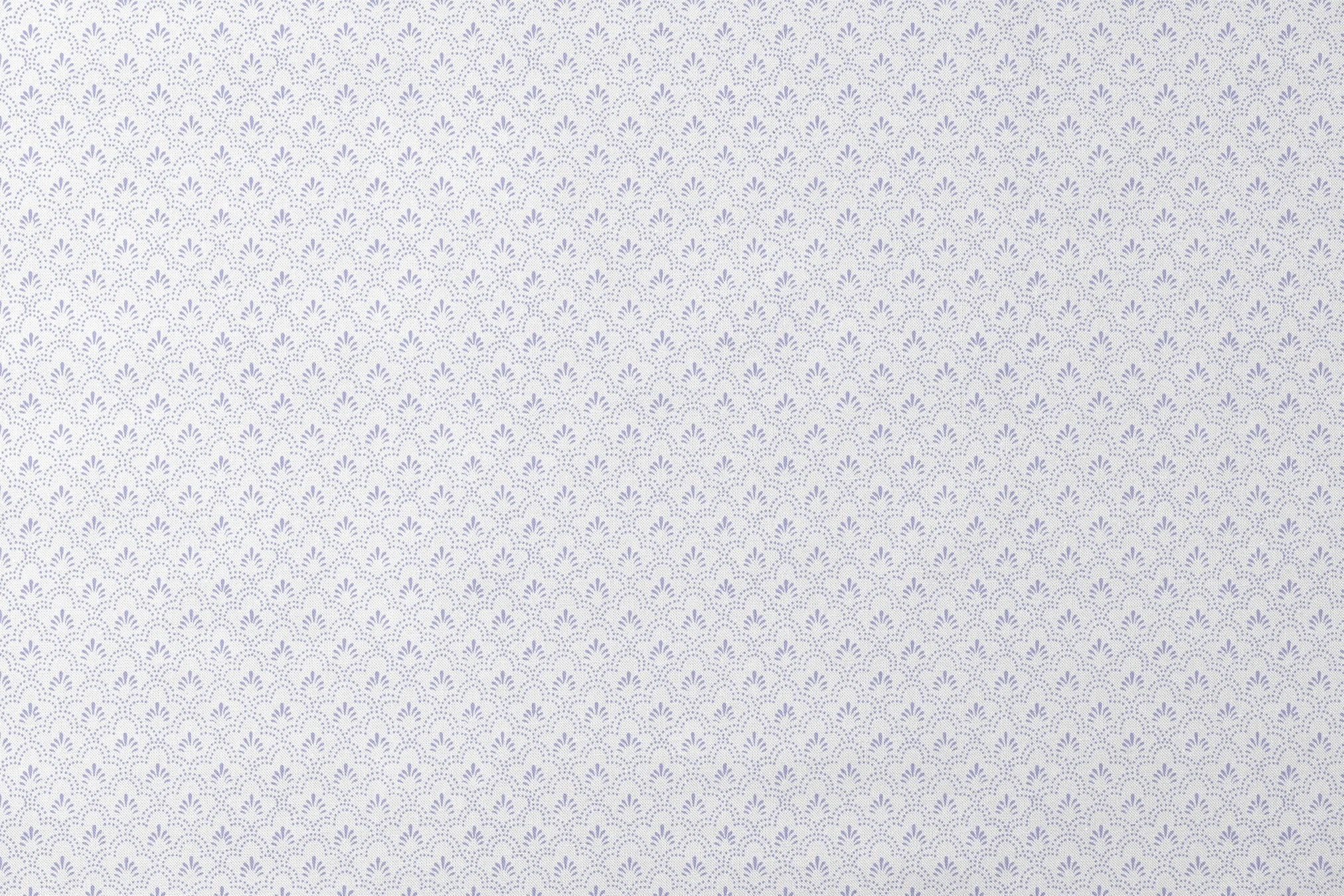 designs flat mockup