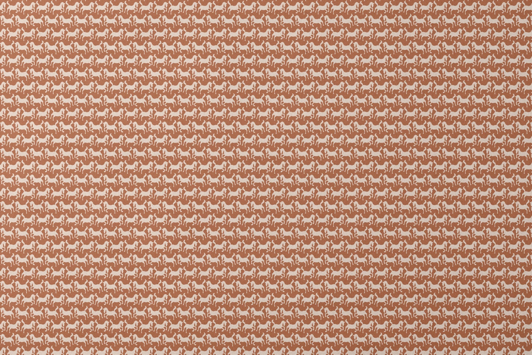 designs flat mockup