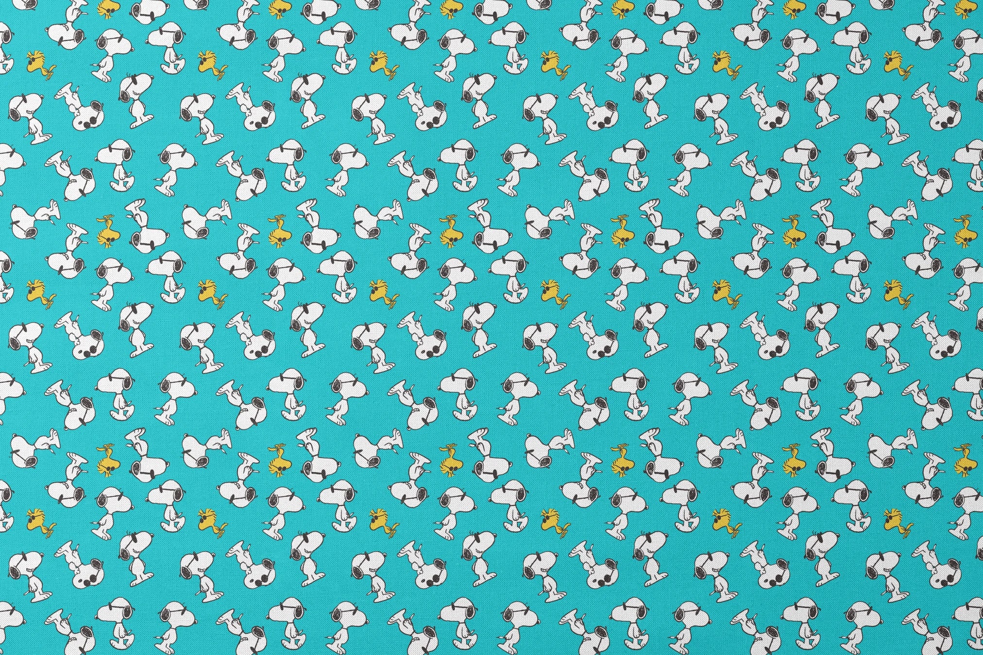 designs flat mockup
