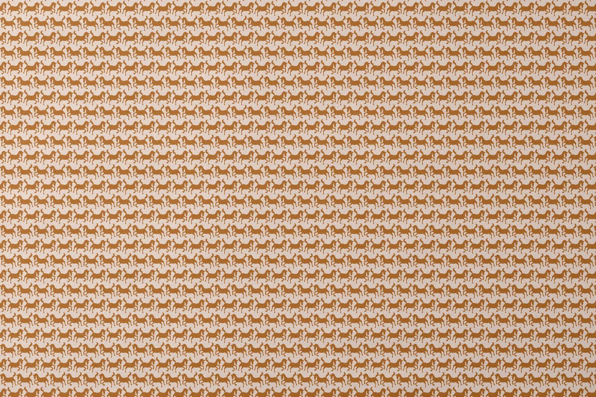 designs flat mockup