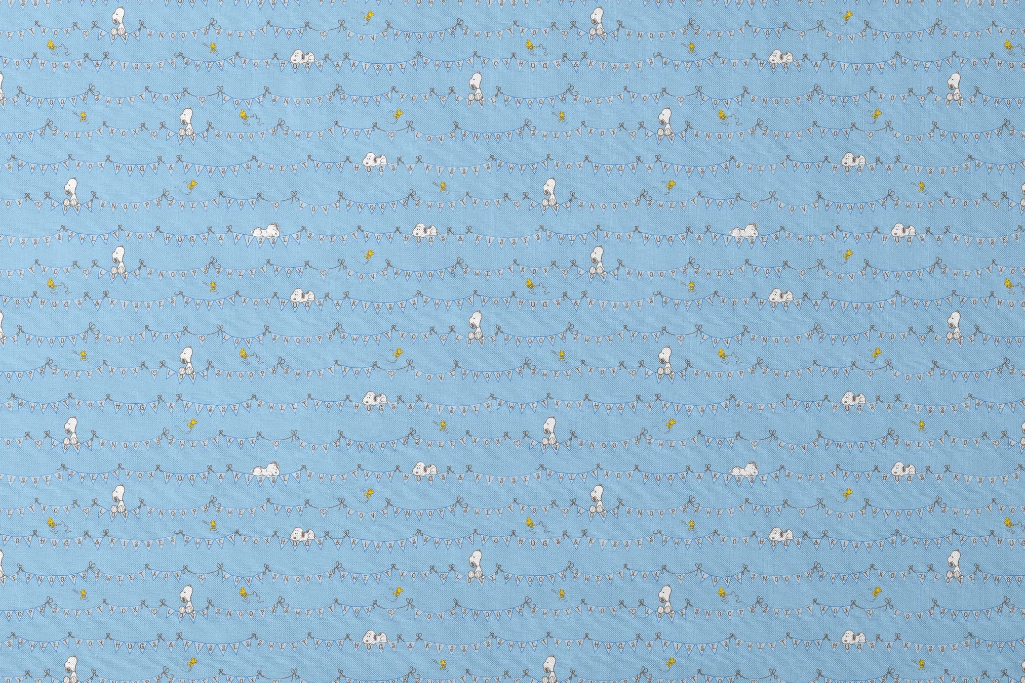 designs flat mockup