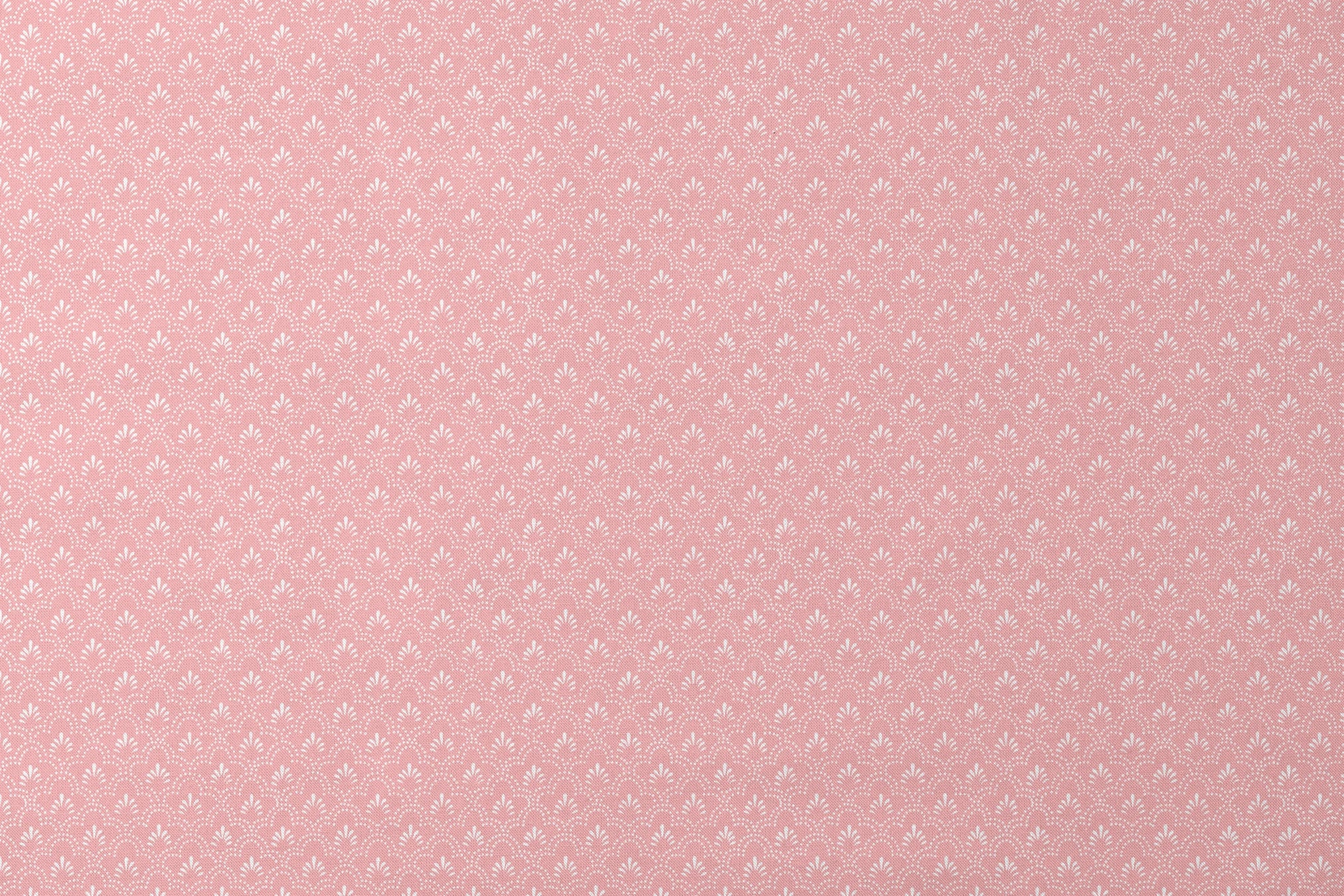designs flat mockup
