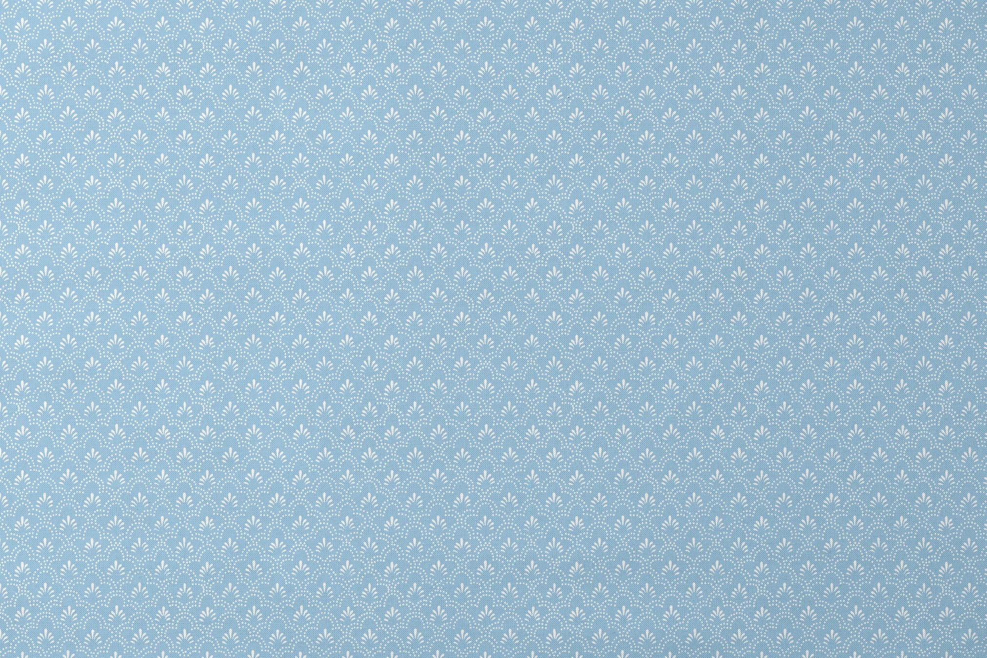 designs flat mockup