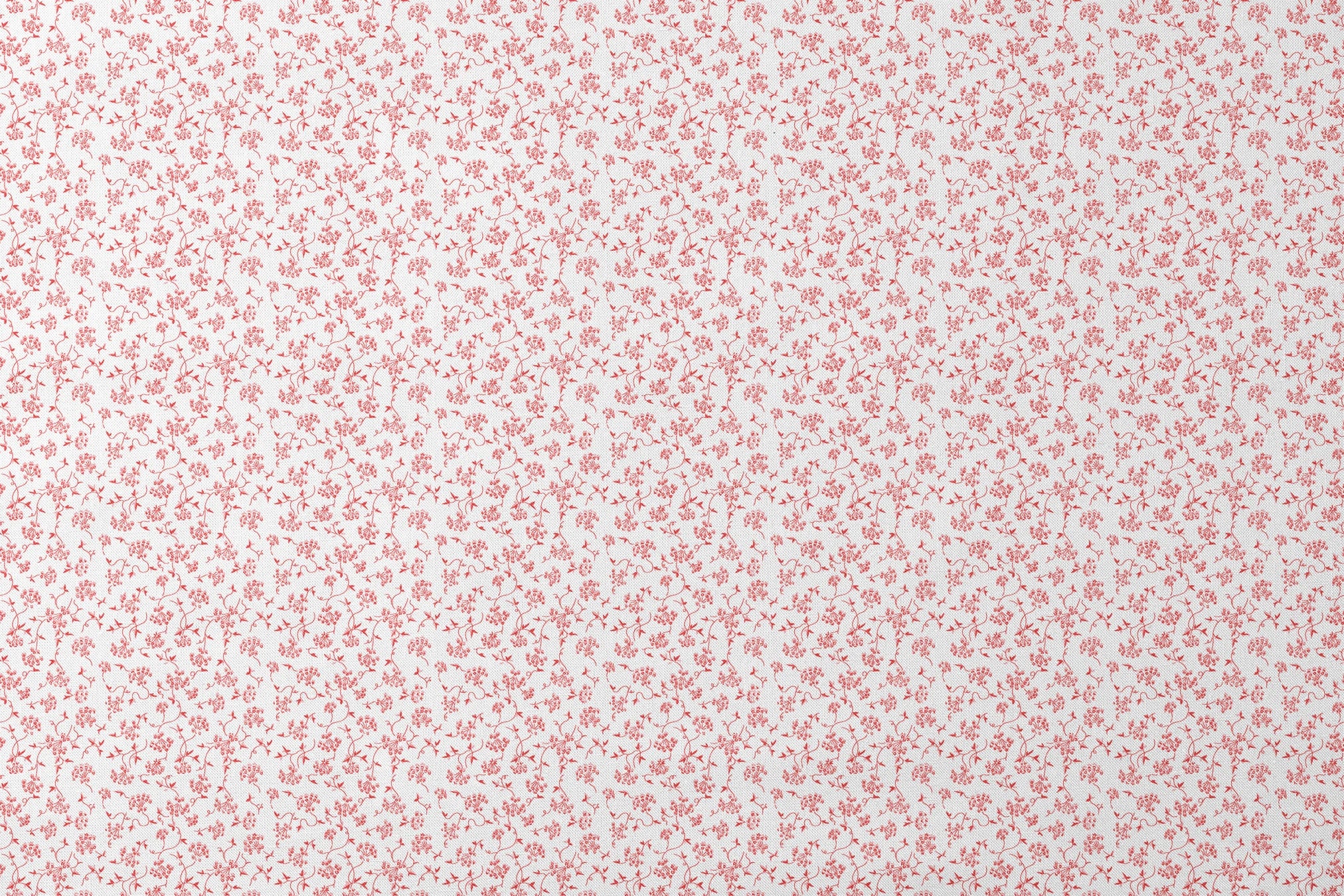 designs flat mockup