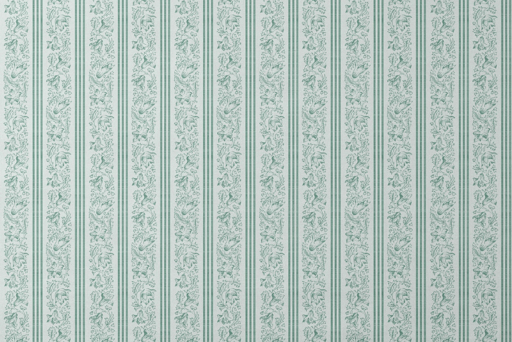 designs flat mockup