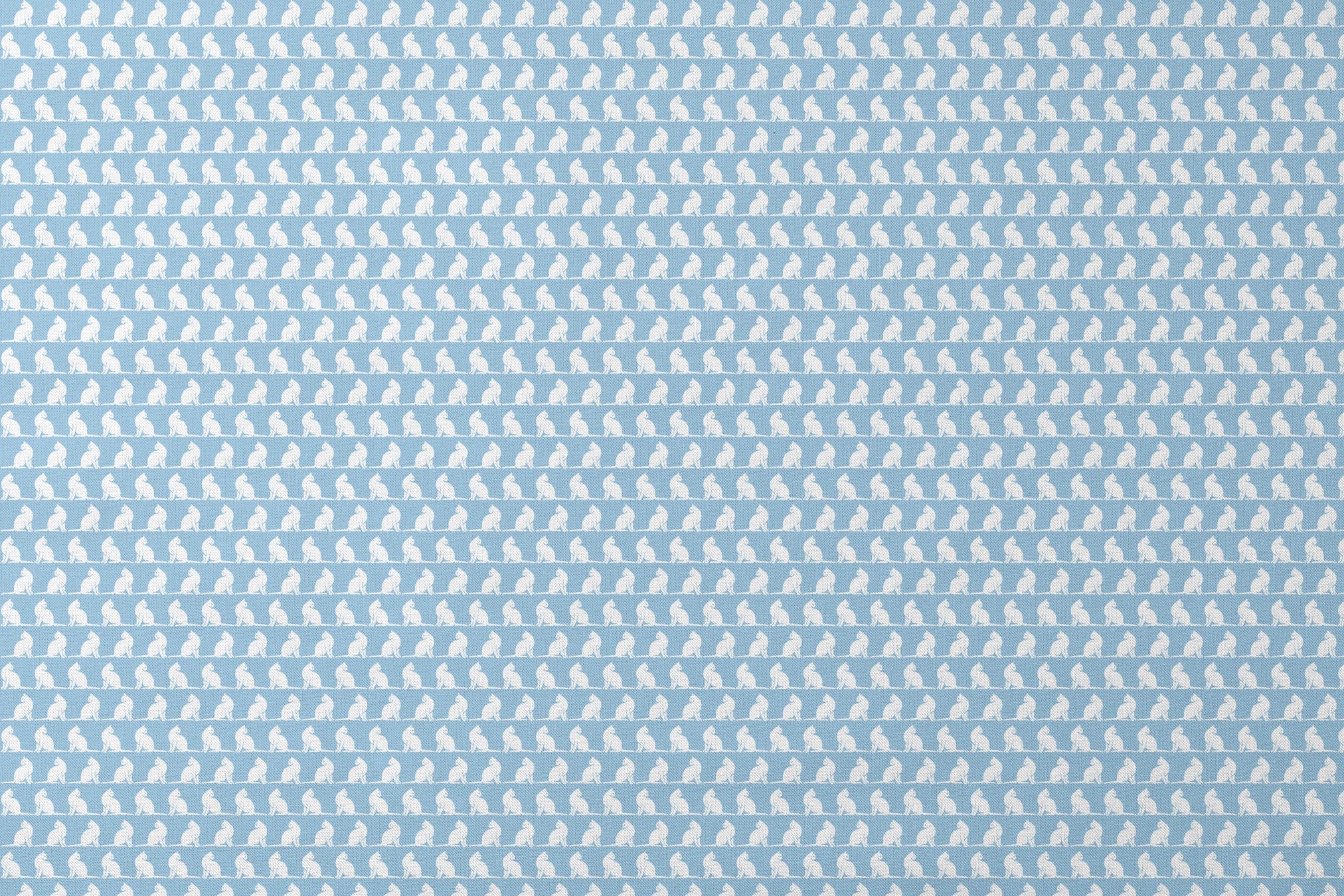 designs flat mockup