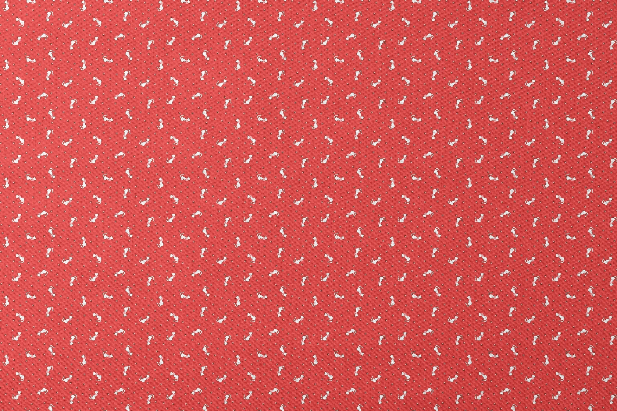 designs flat mockup